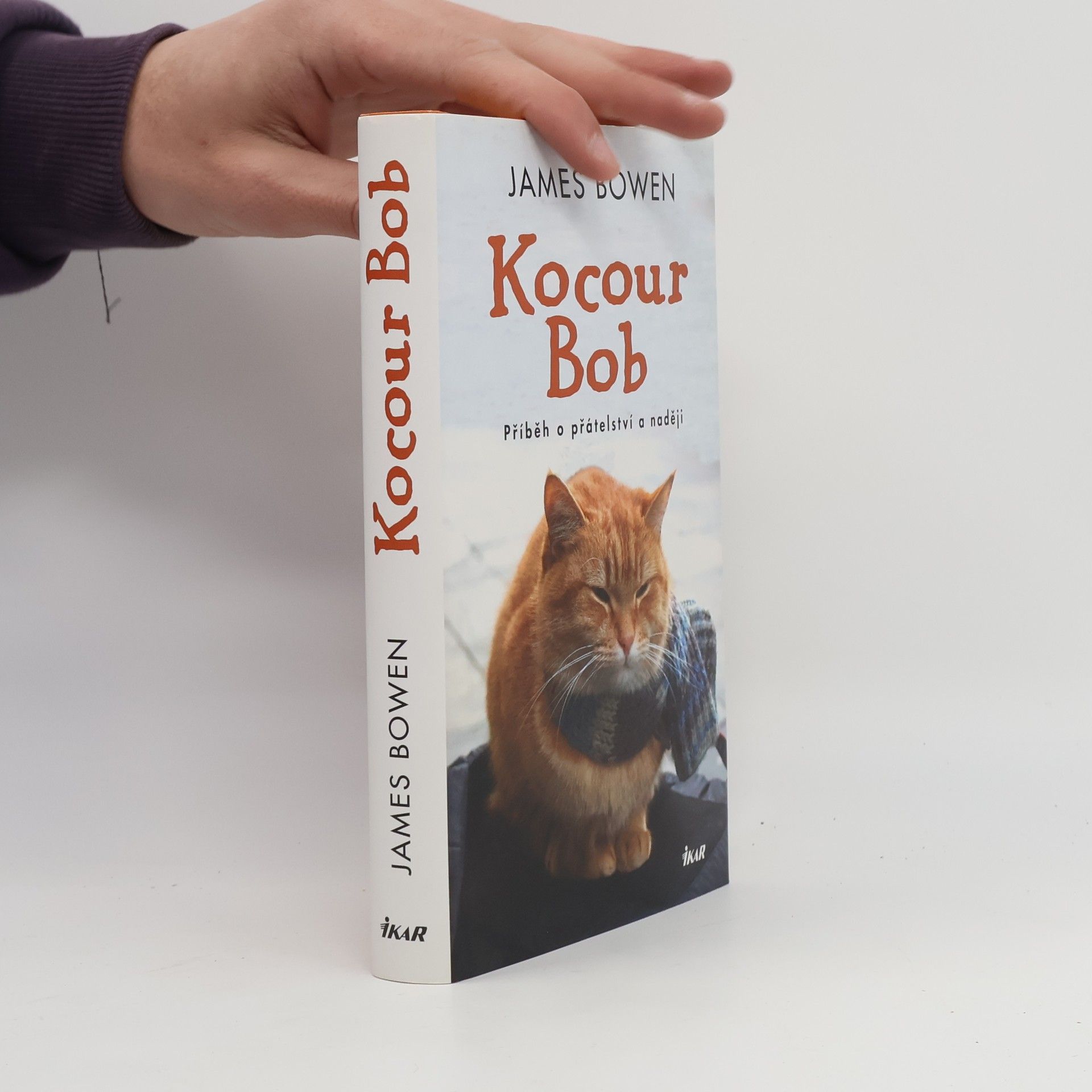 James Bowen Kocour Bob