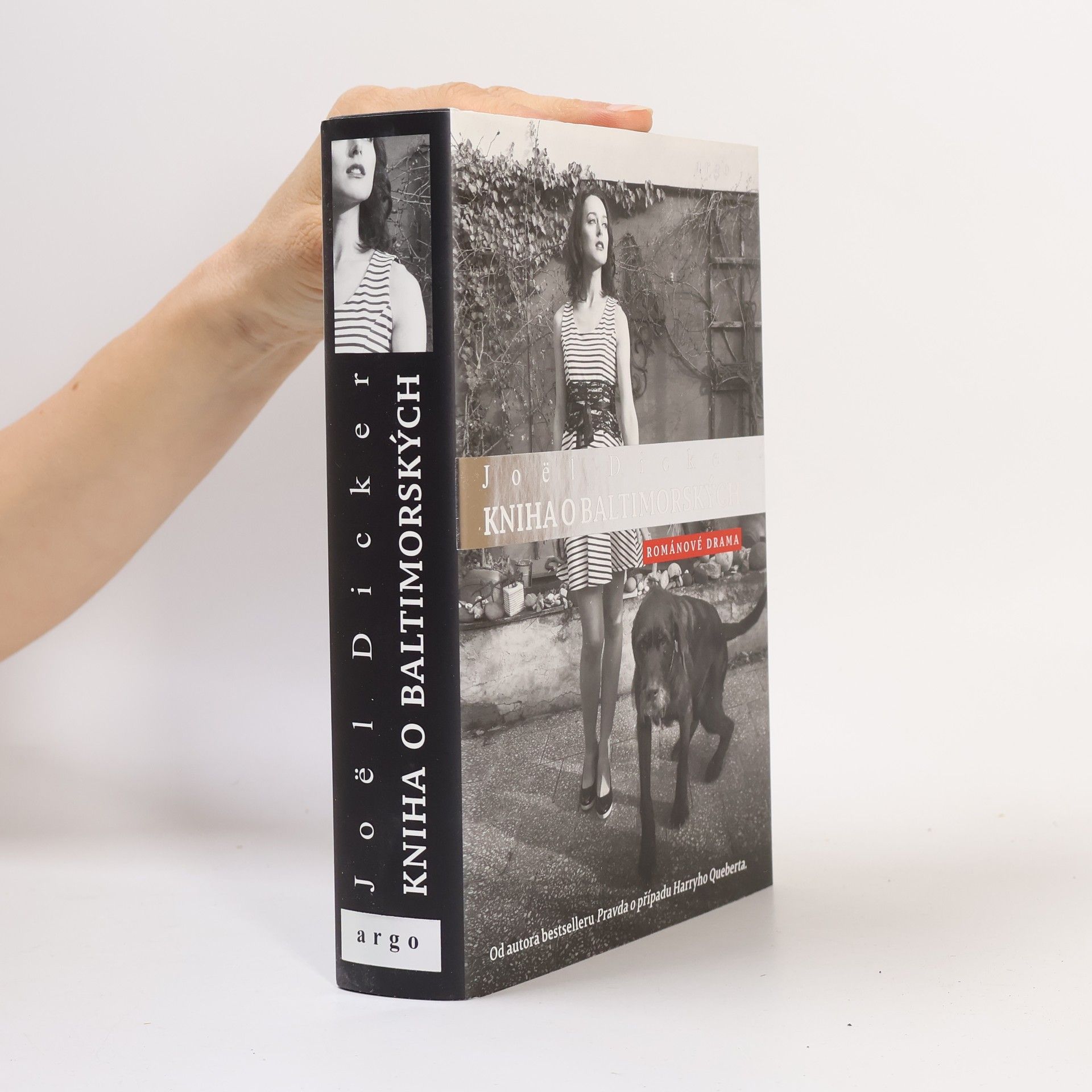 Joël Dicker Kniha o Baltimorských