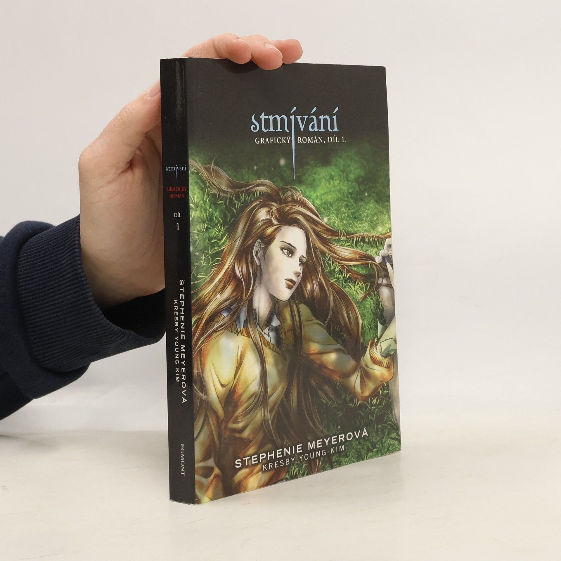 Stephenie Meyer Stmívání: Grafický román