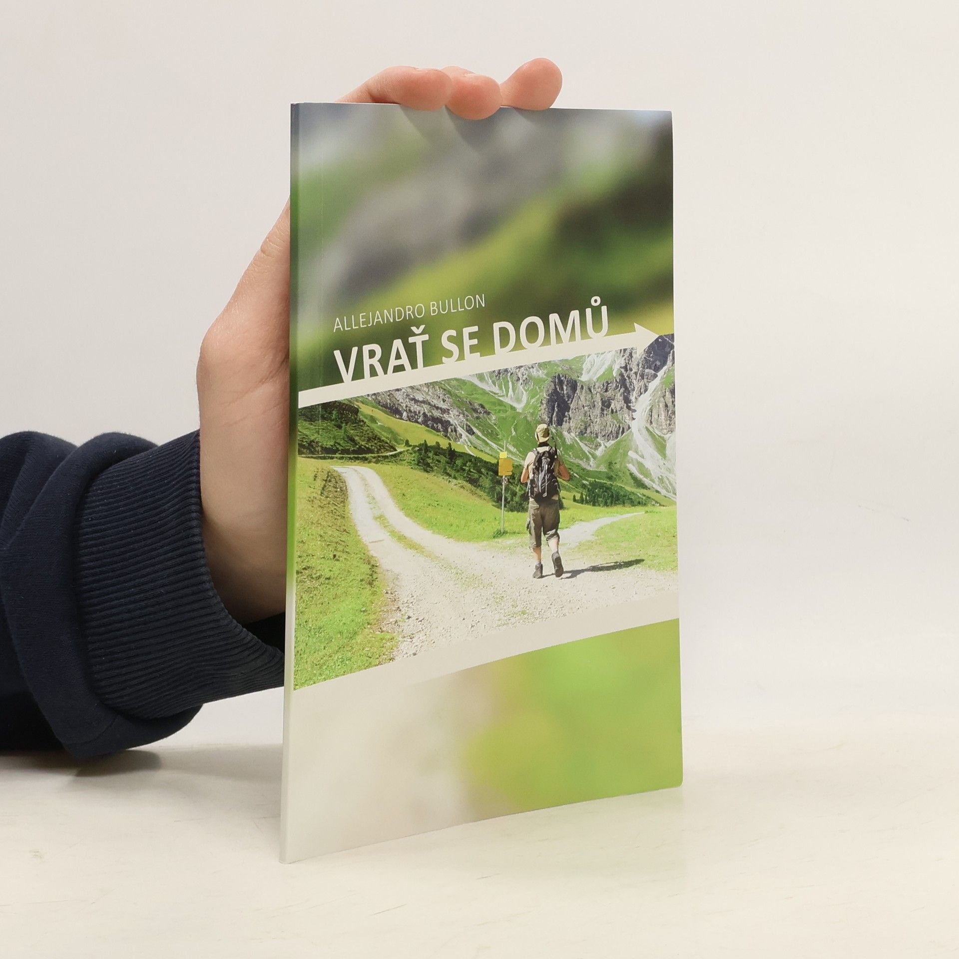 Alejandro Bullón Vrať se domů