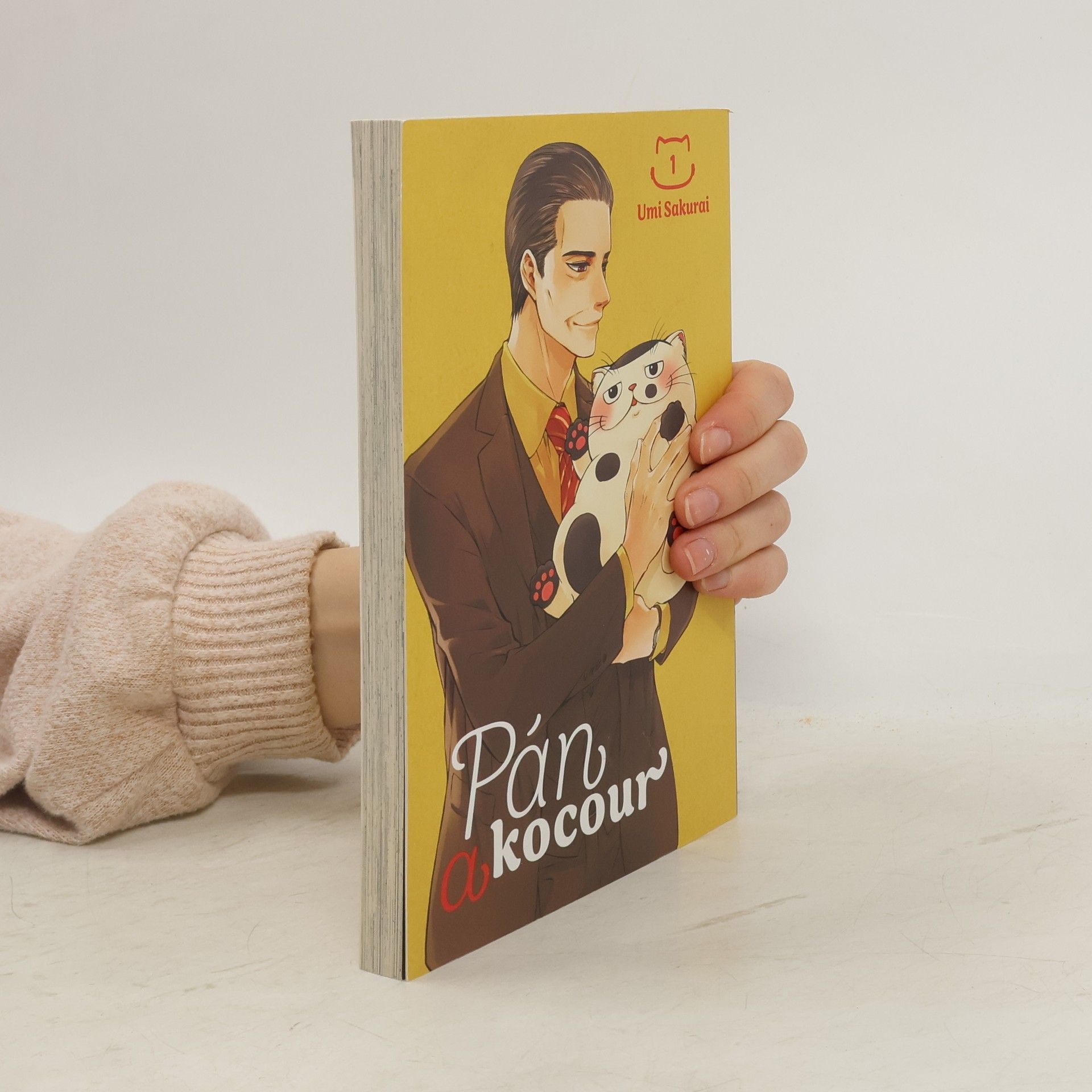 Umi Sakurai Pán a kocour 1