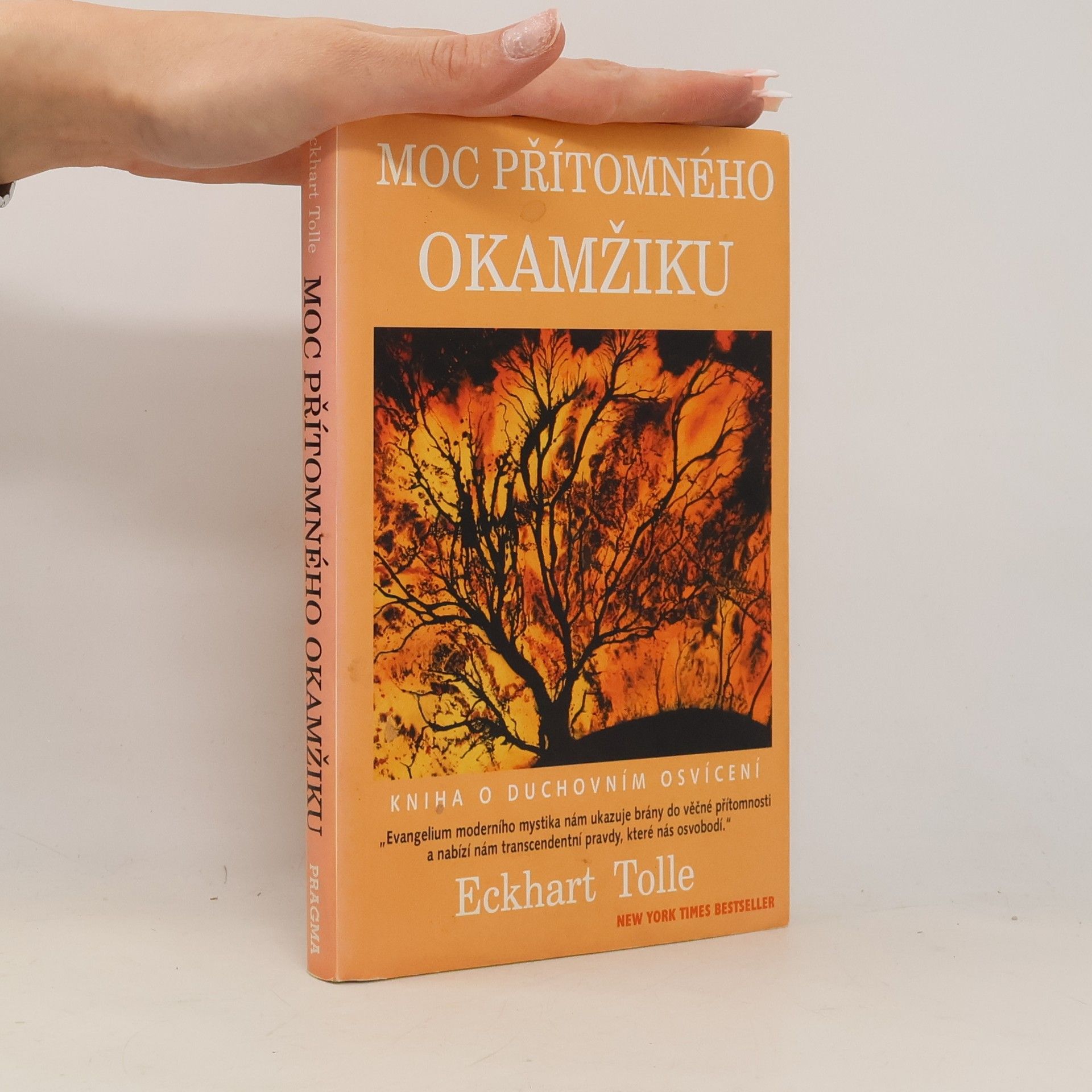 Eckhart Tolle Moc přítomného okamžiku