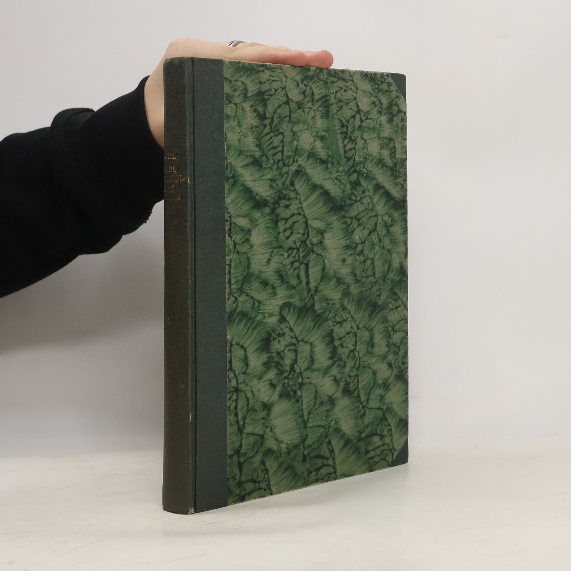 Hadi, krokodilové a draci