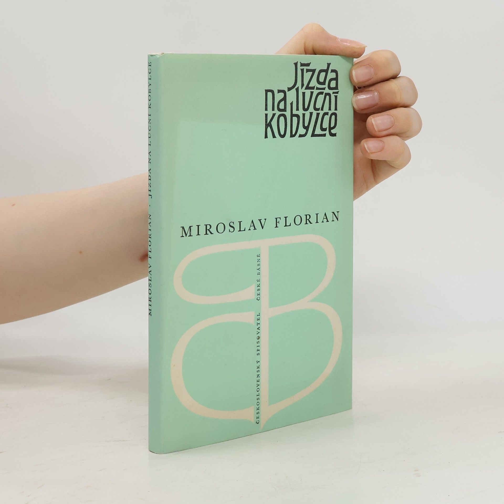 Jízda na luční kobylce