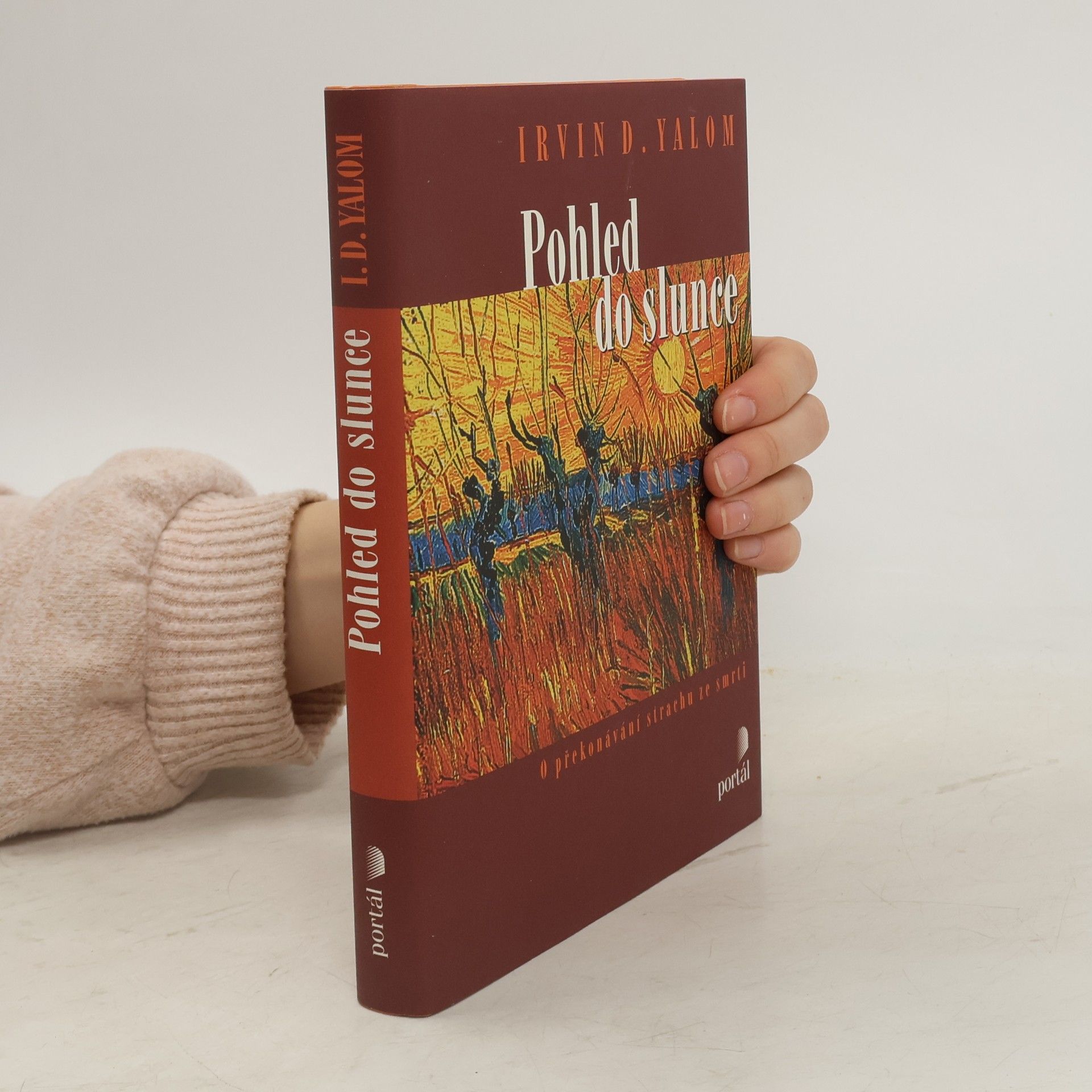 Irvin Yalom Pohled do slunce