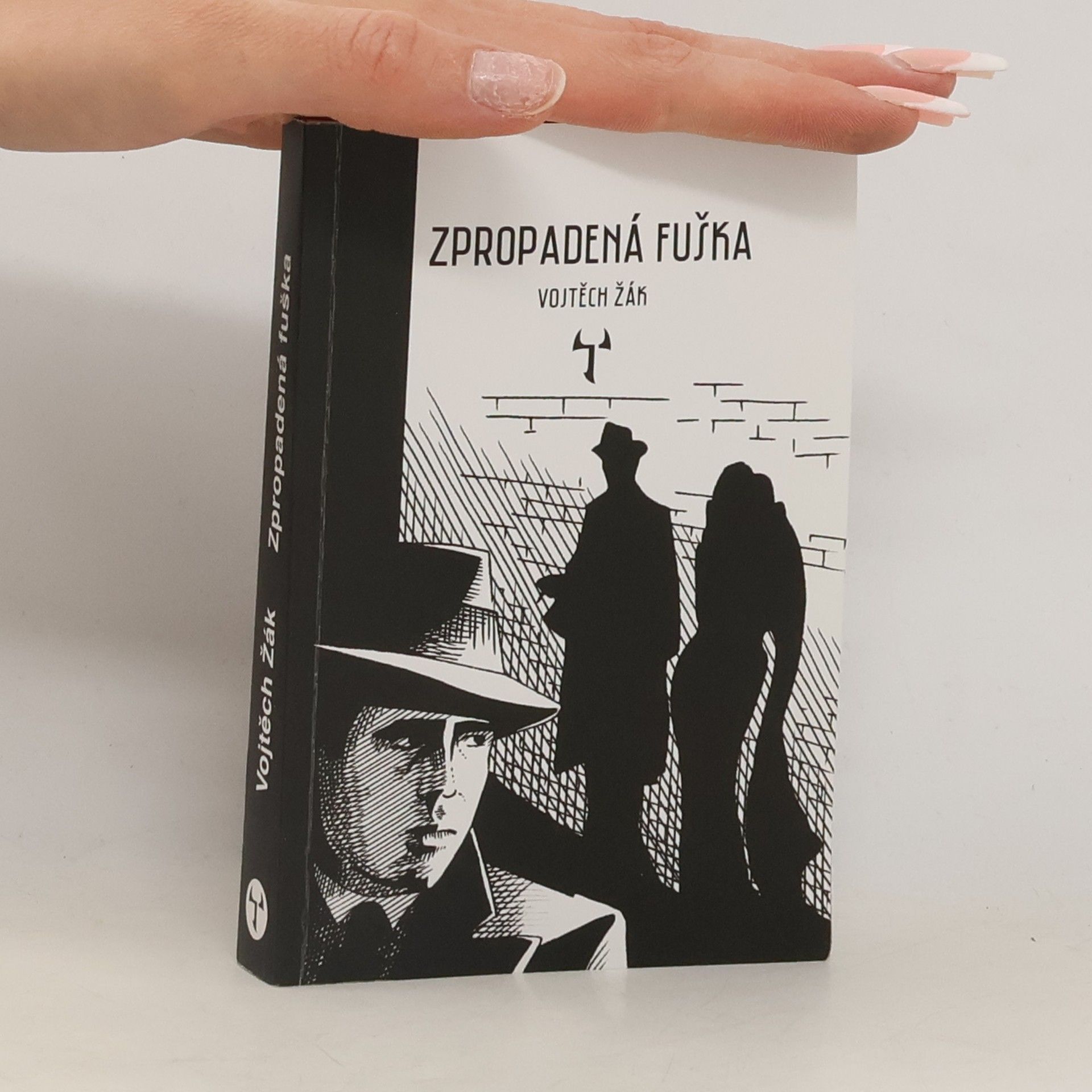Vojtěch Žák Zpropadená fuška
