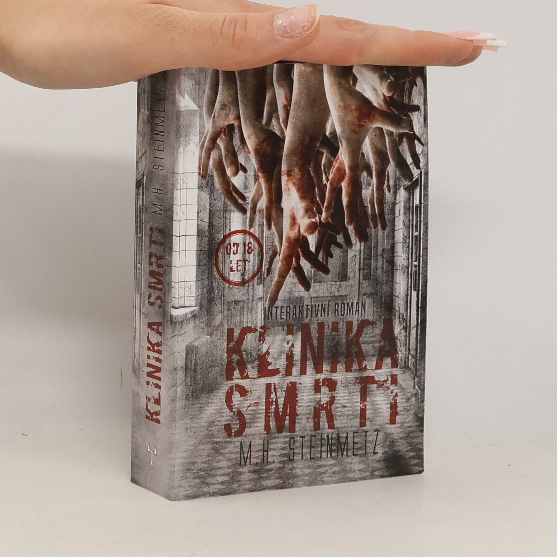 M. H. Steinmetz Death Asylum - totes Land - ein interaktiver Roman