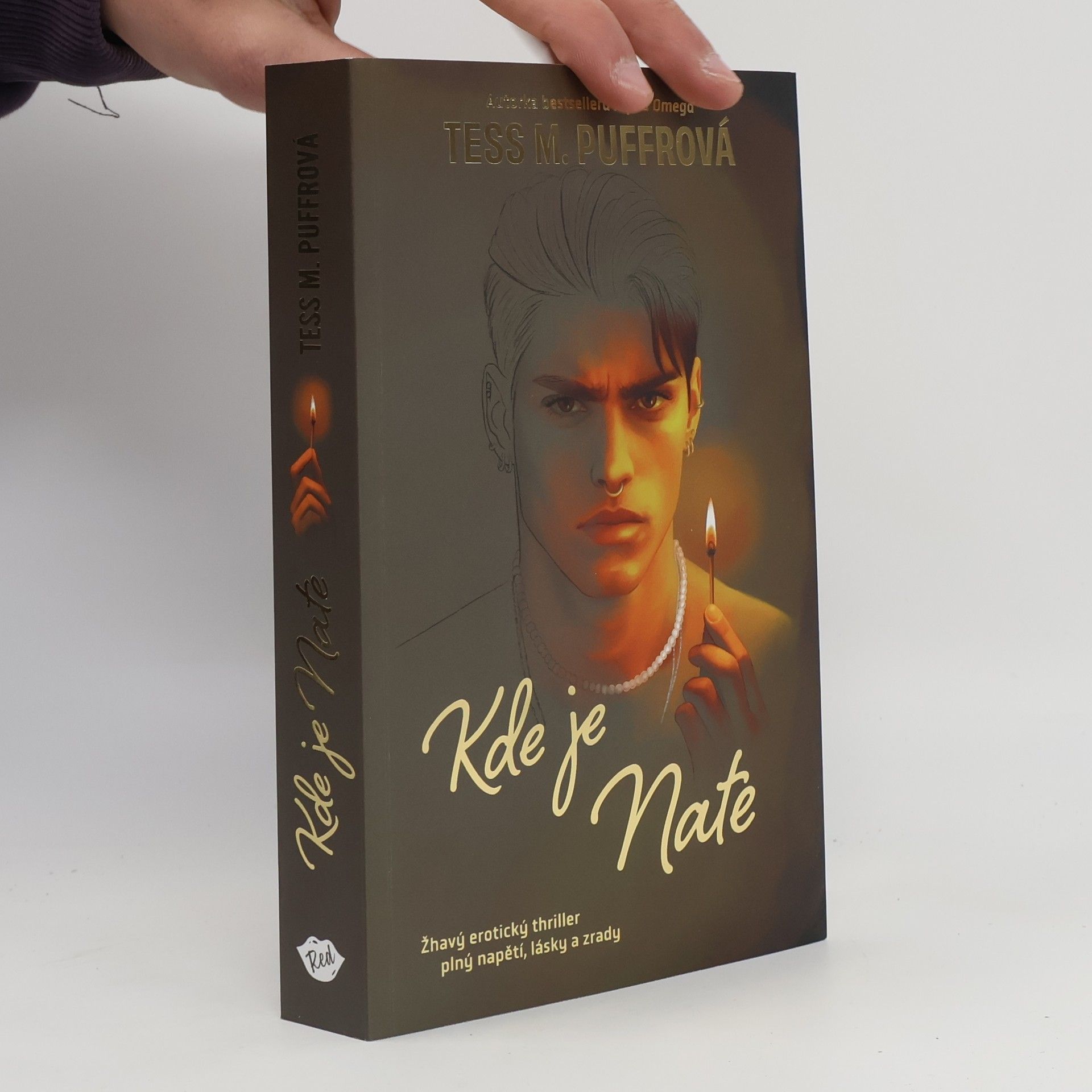 Tess M. Puffrová Kde je Nate