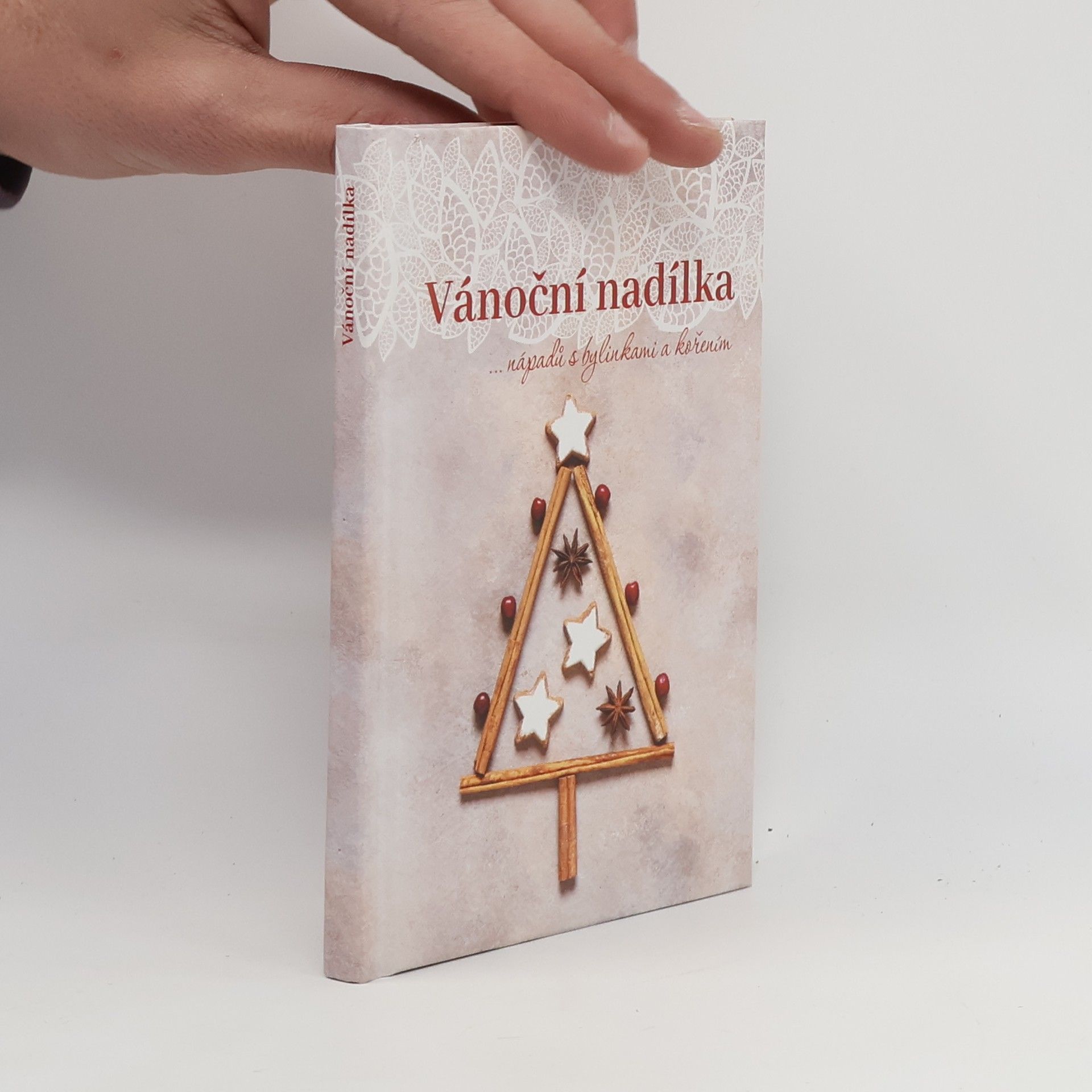 Dagmar Pinkasová Vánoční nadílka...nápadů s bylinkami a kořením