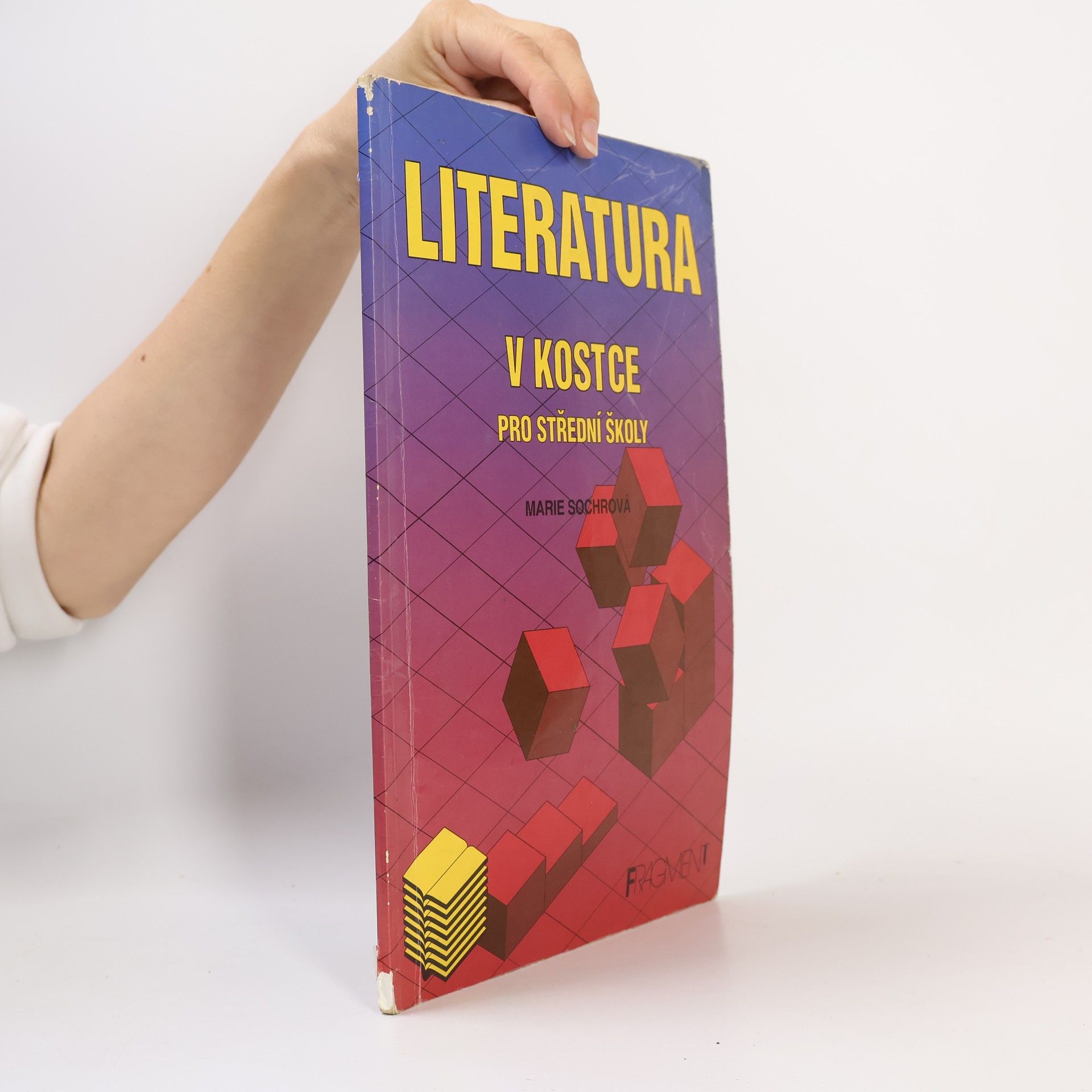 Literatura v kostce