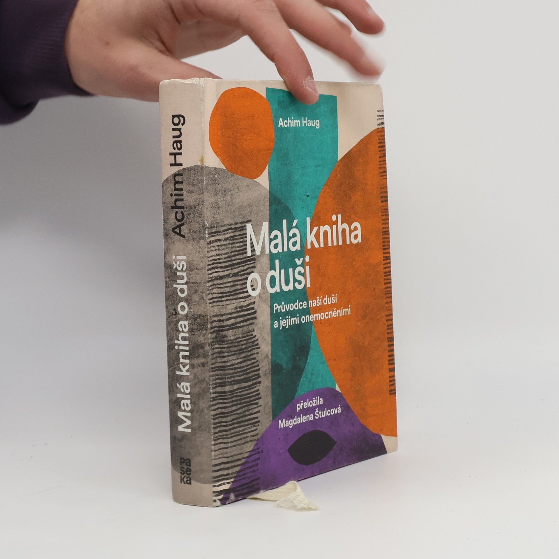 Achim Haug Malá kniha o duši. Průvodce na cesty naší psýchou a jejími nemocemi