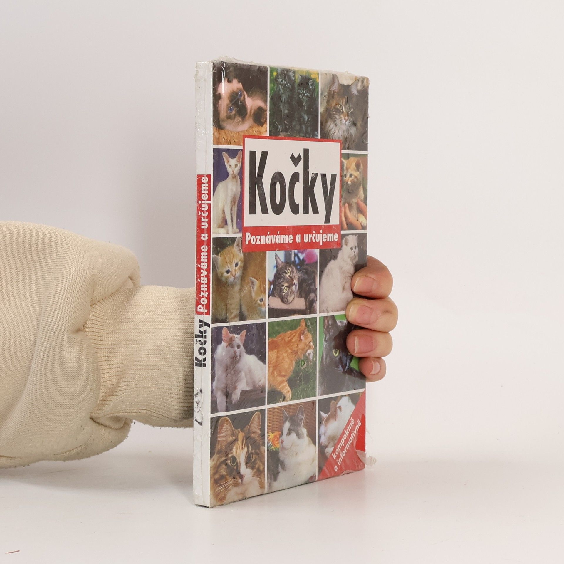 nezn. Kočky: Poznáváme a určujeme