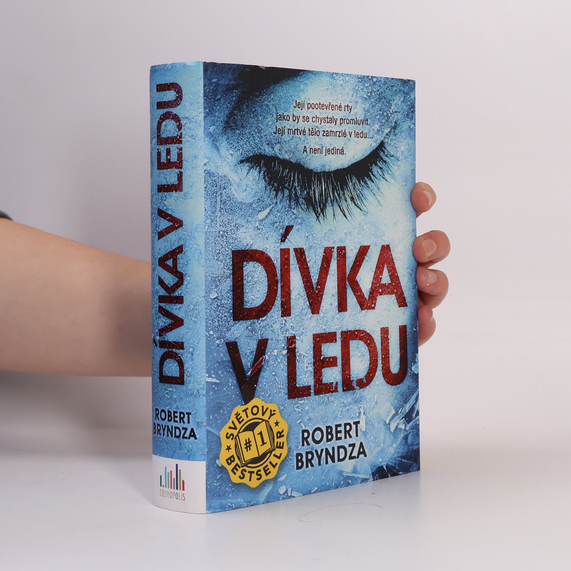 Robert Bryndza Dívka v ledu