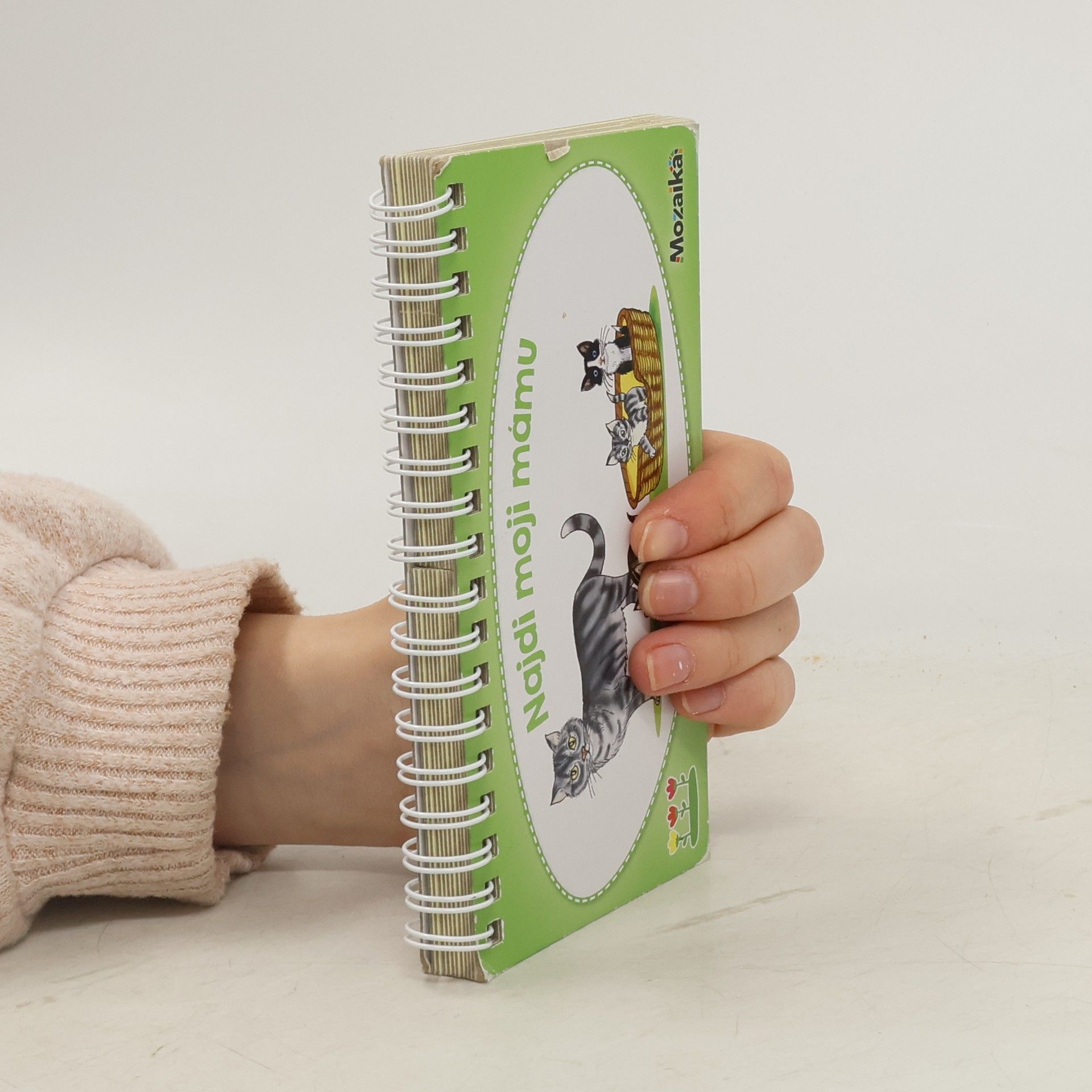 Antonín Šplíchal Najdi moji mámu