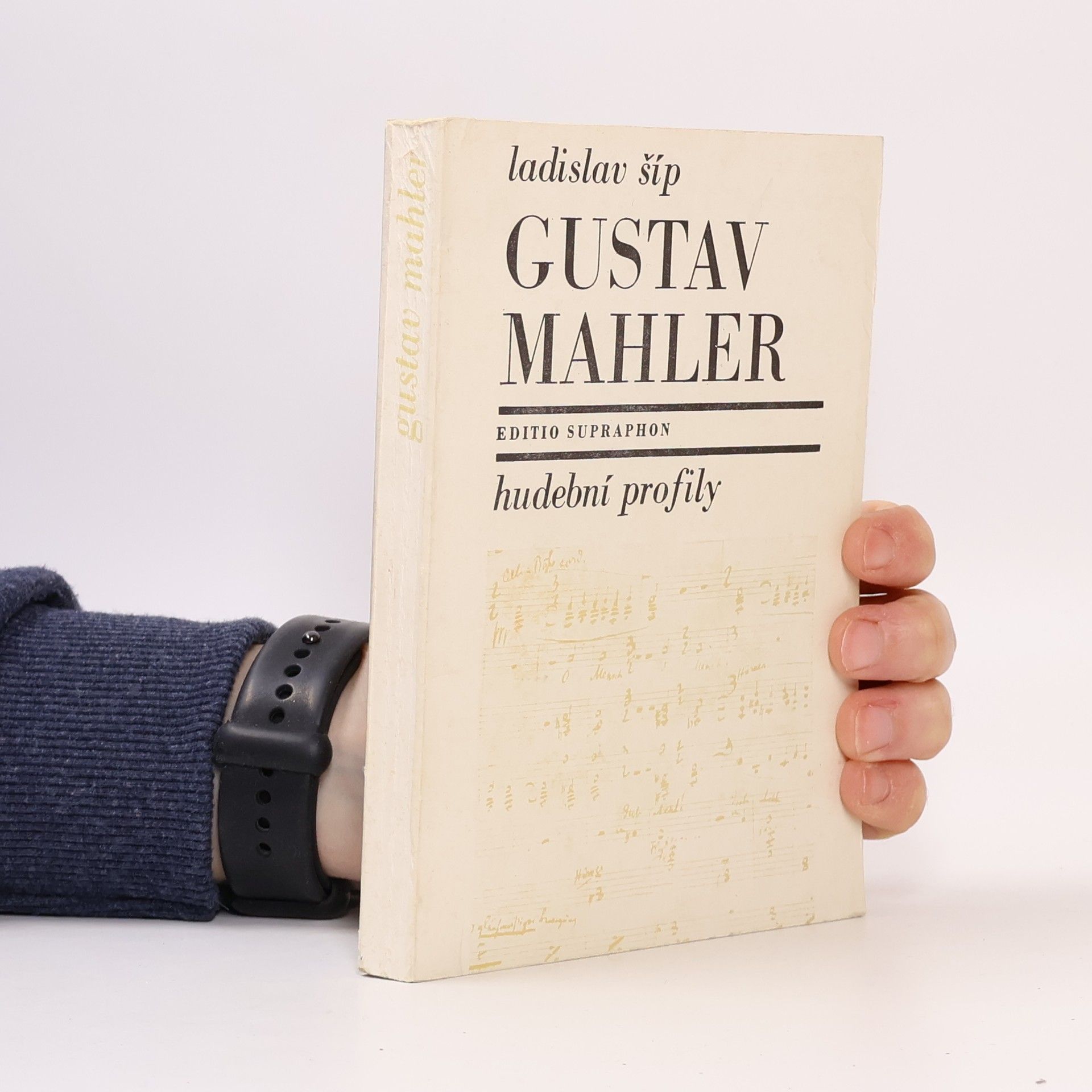 Ladislav Šíp Gustav Mahler