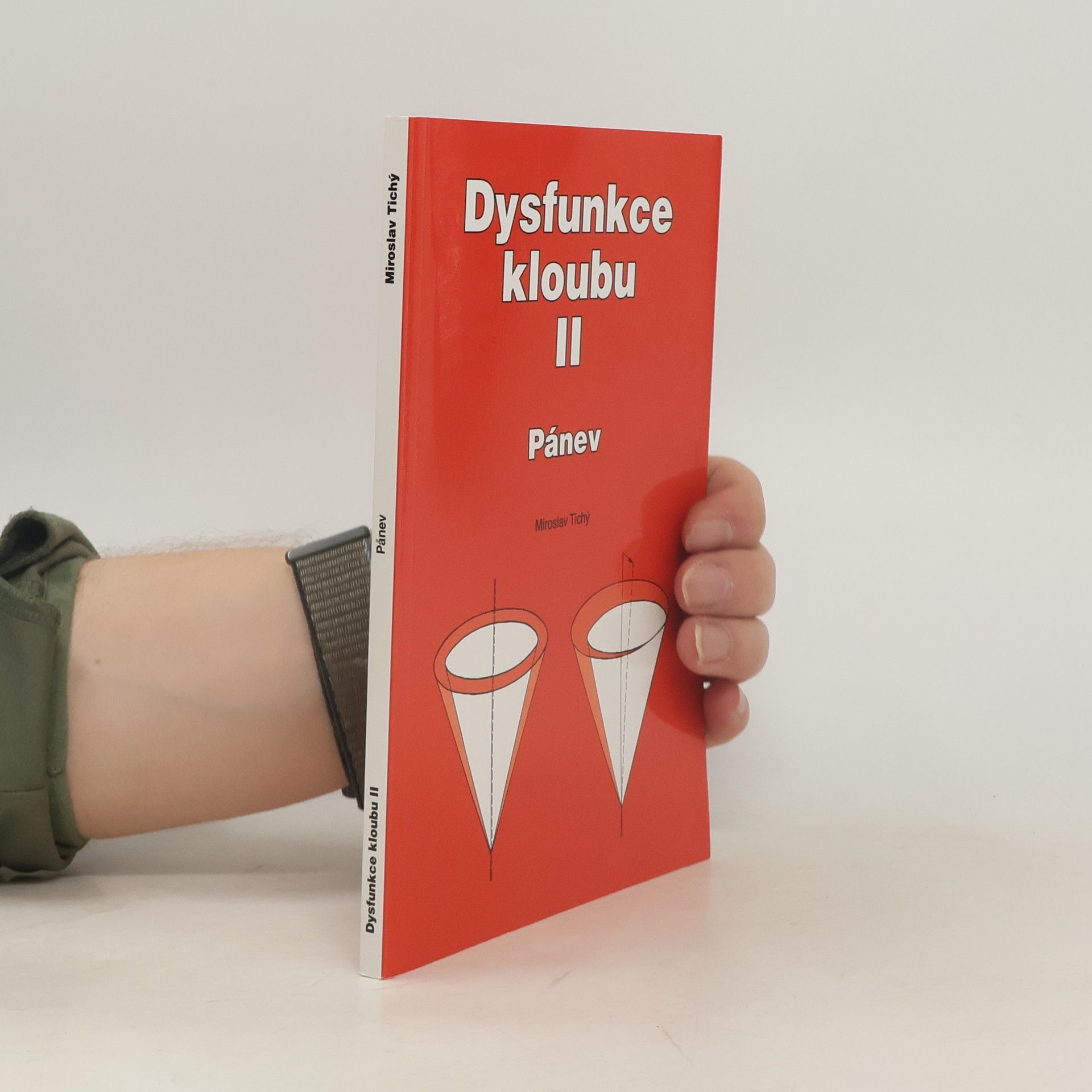 Miroslav Tichý Dysfunkce kloubu. II, Pánev