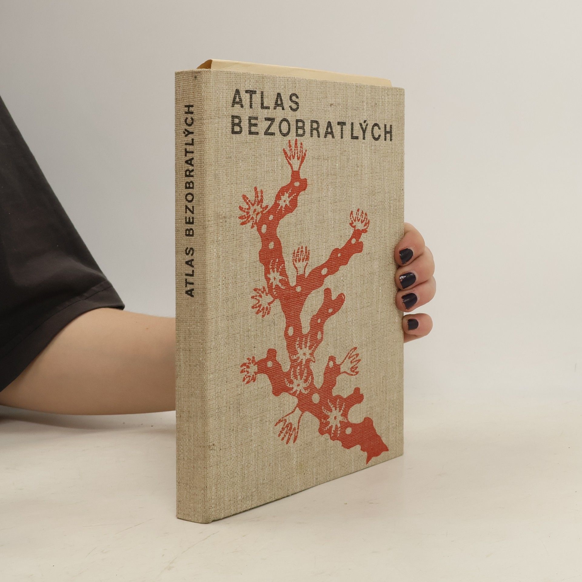 Miroslav Kunst Atlas bezobratlých