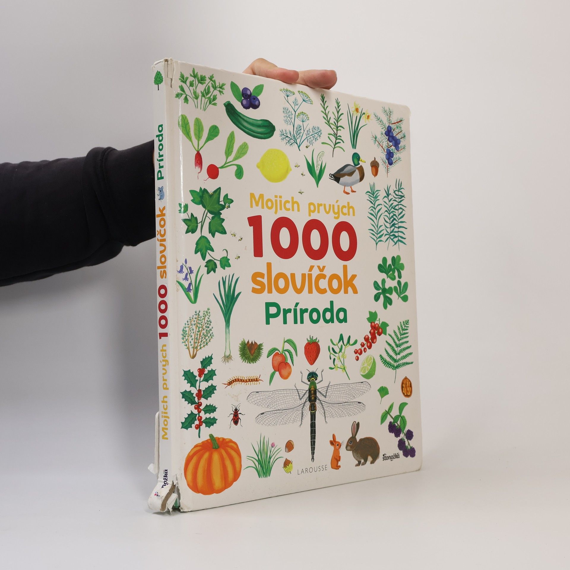 Autores varios Mojich prvých 1000 slovíčok - Príroda