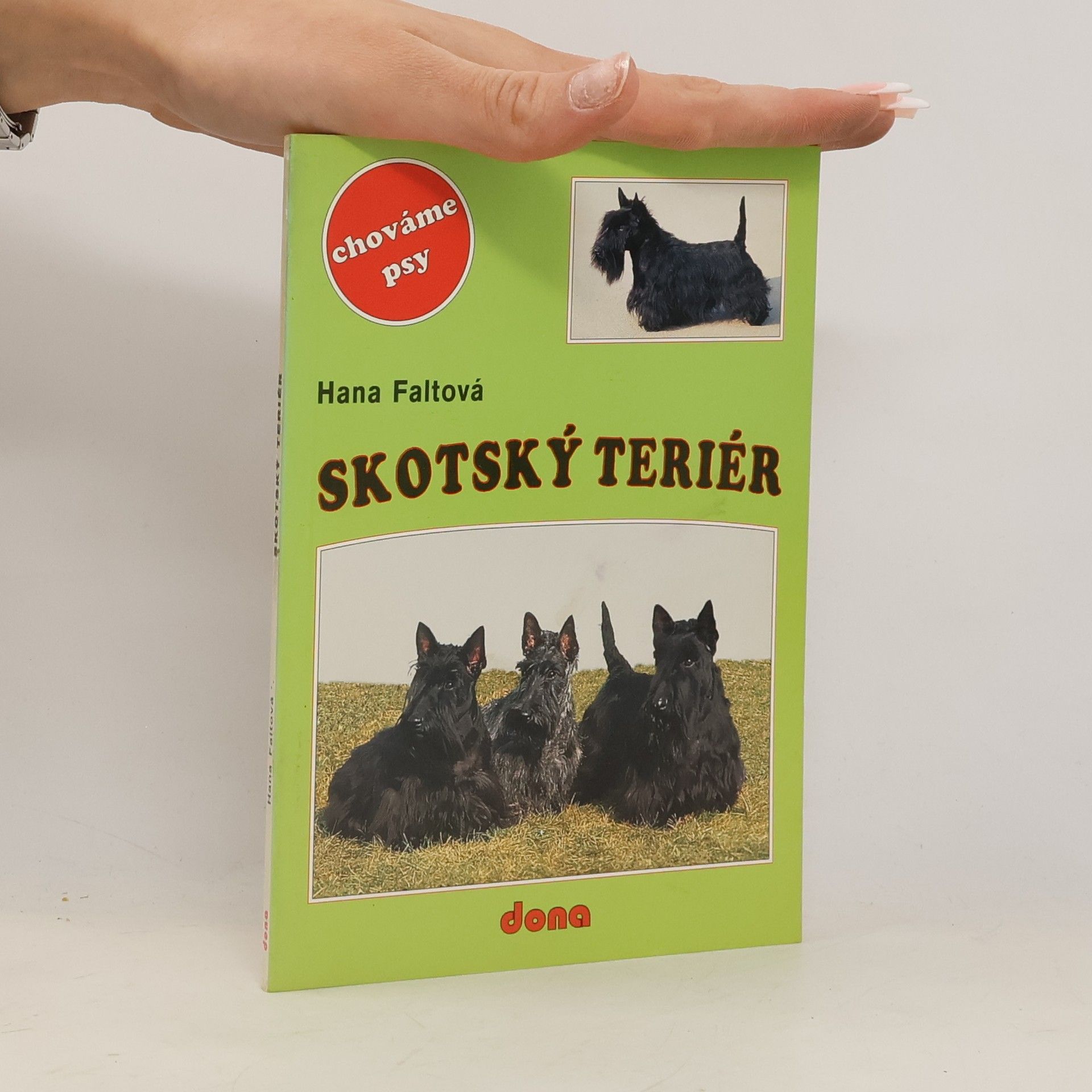 Hana Faltová Skotský teriér