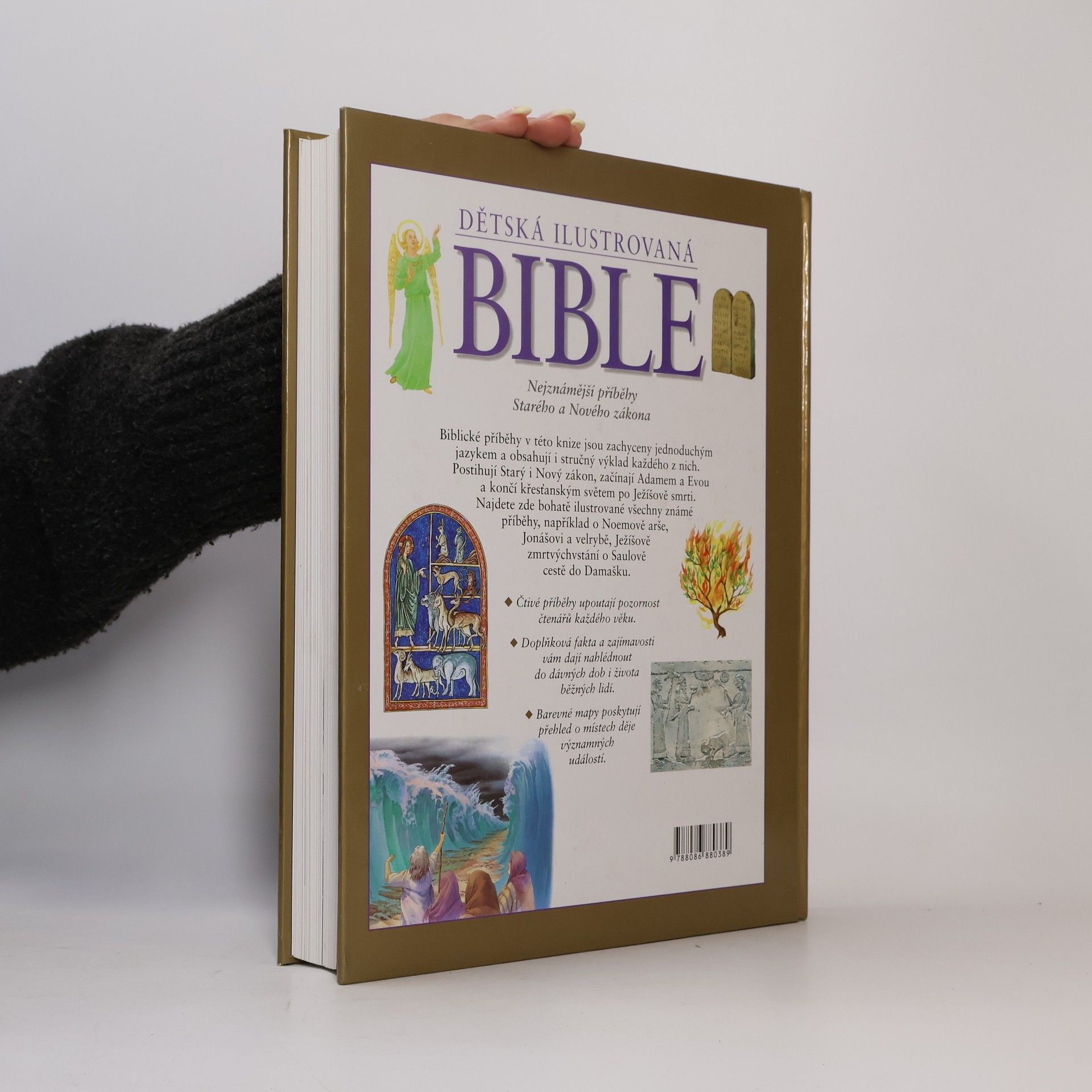 Janet Dyson Dětská ilustrovaná Bible