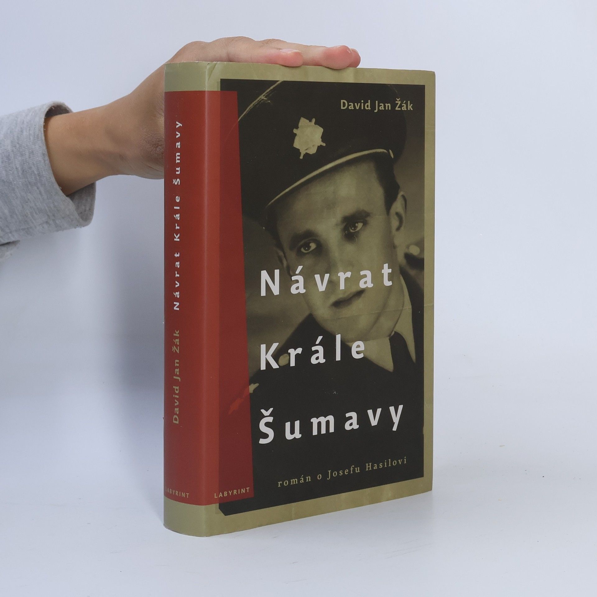 David Jan Žák Návrat Krále Šumavy
