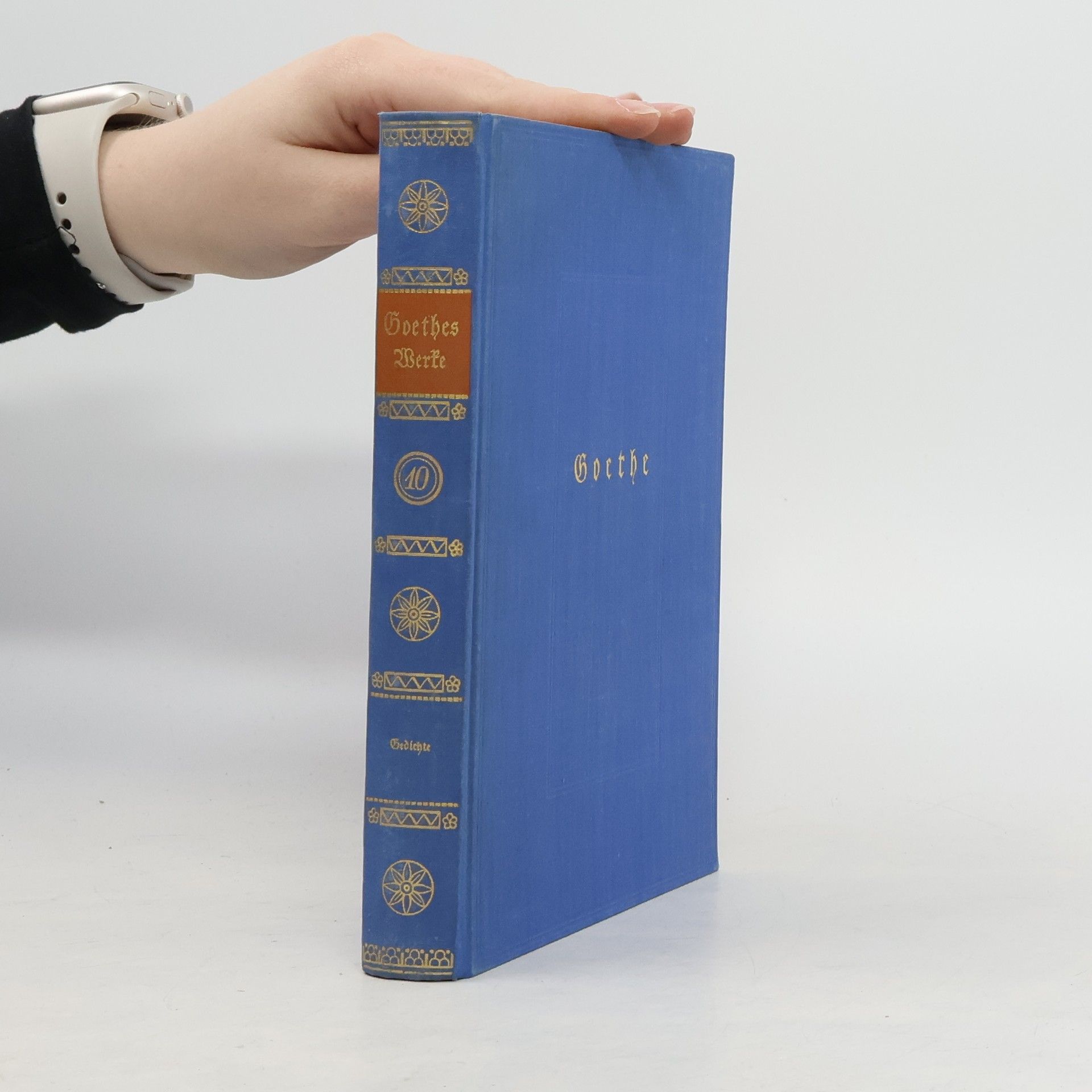 Theodor Friedrich Goethes Werke 10.