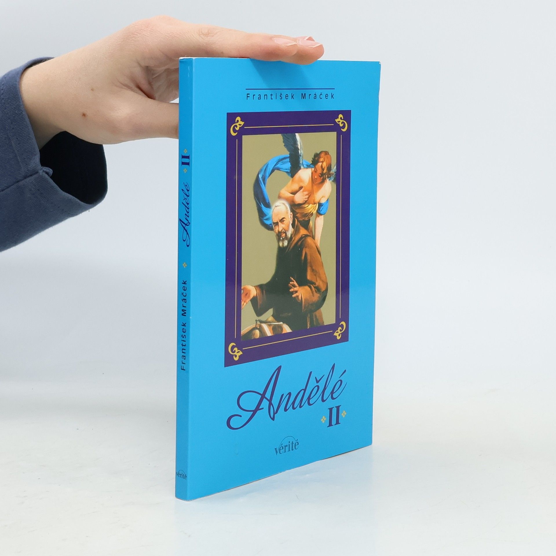 František Mráček Andělé II.