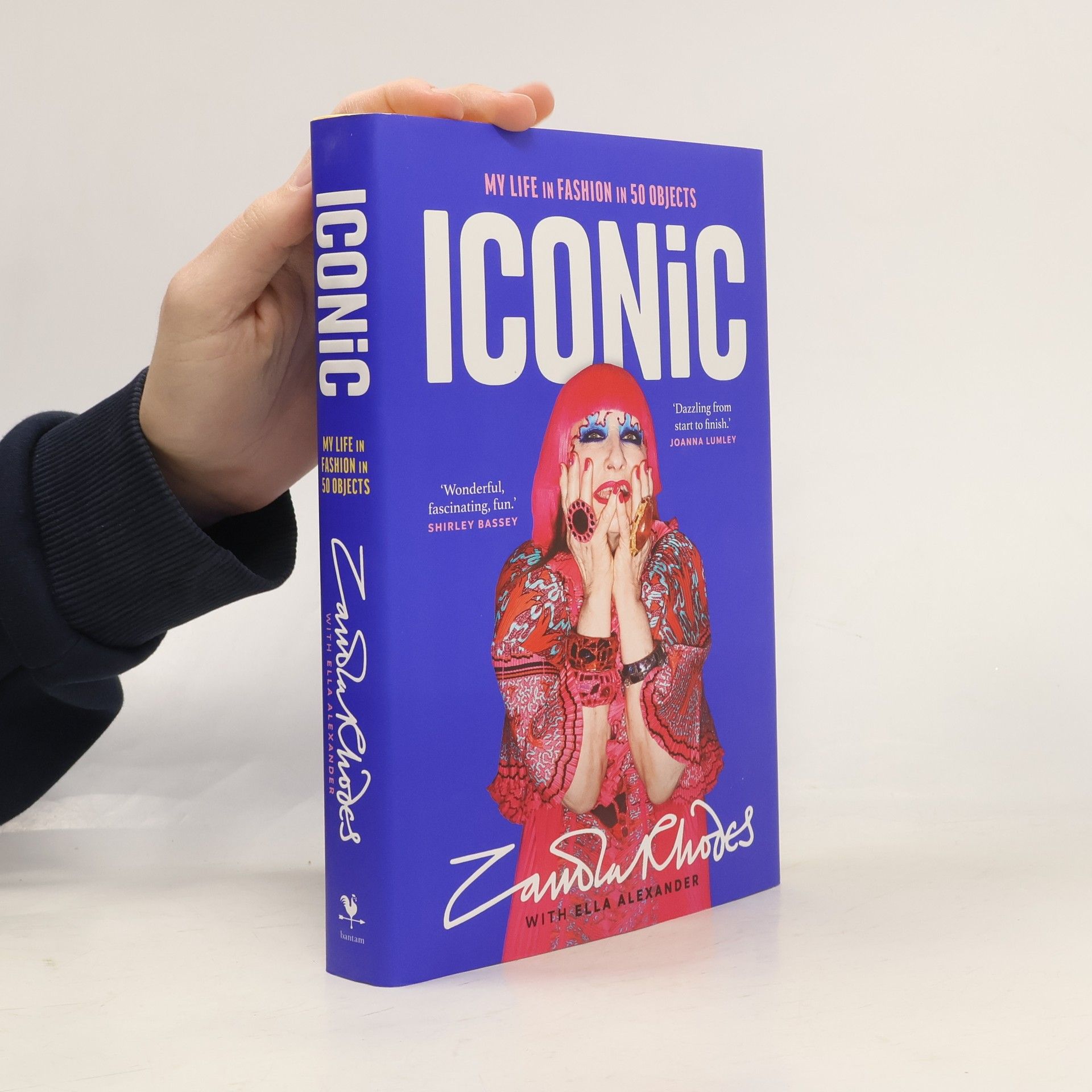 Zandra Rhodes Iconic