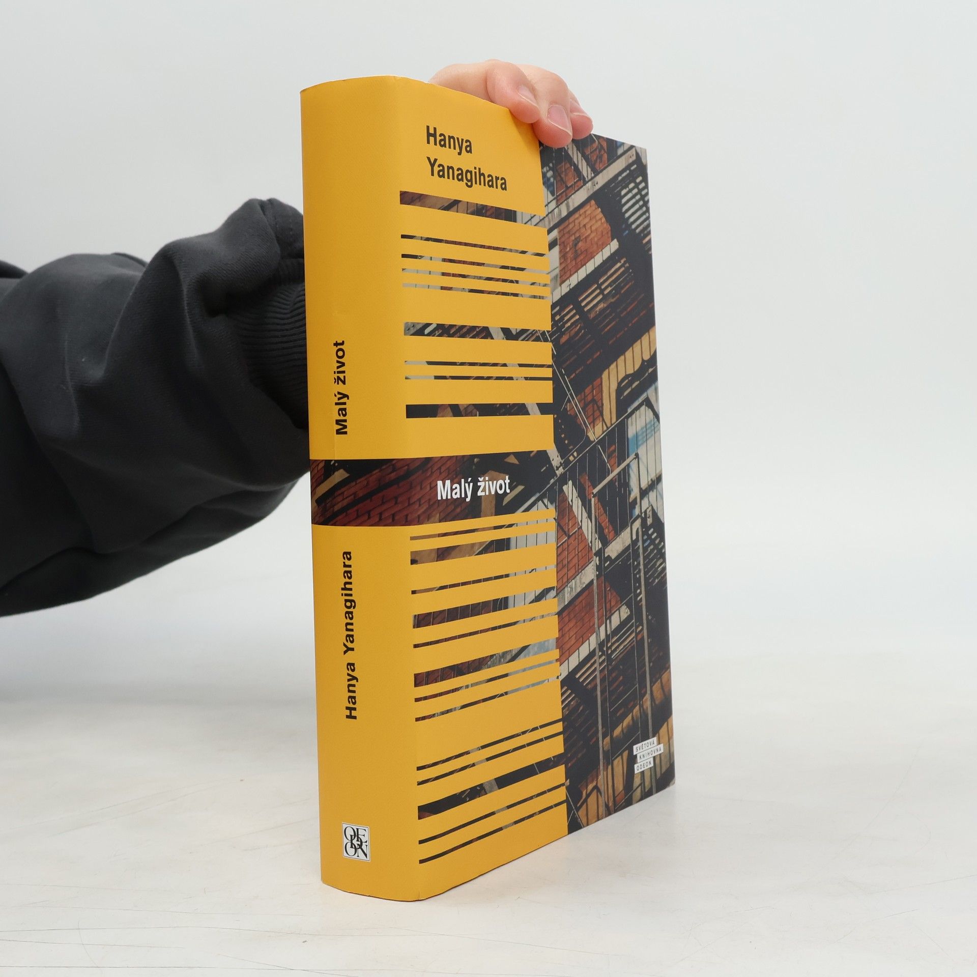 Hanya Yanagihara Malý život