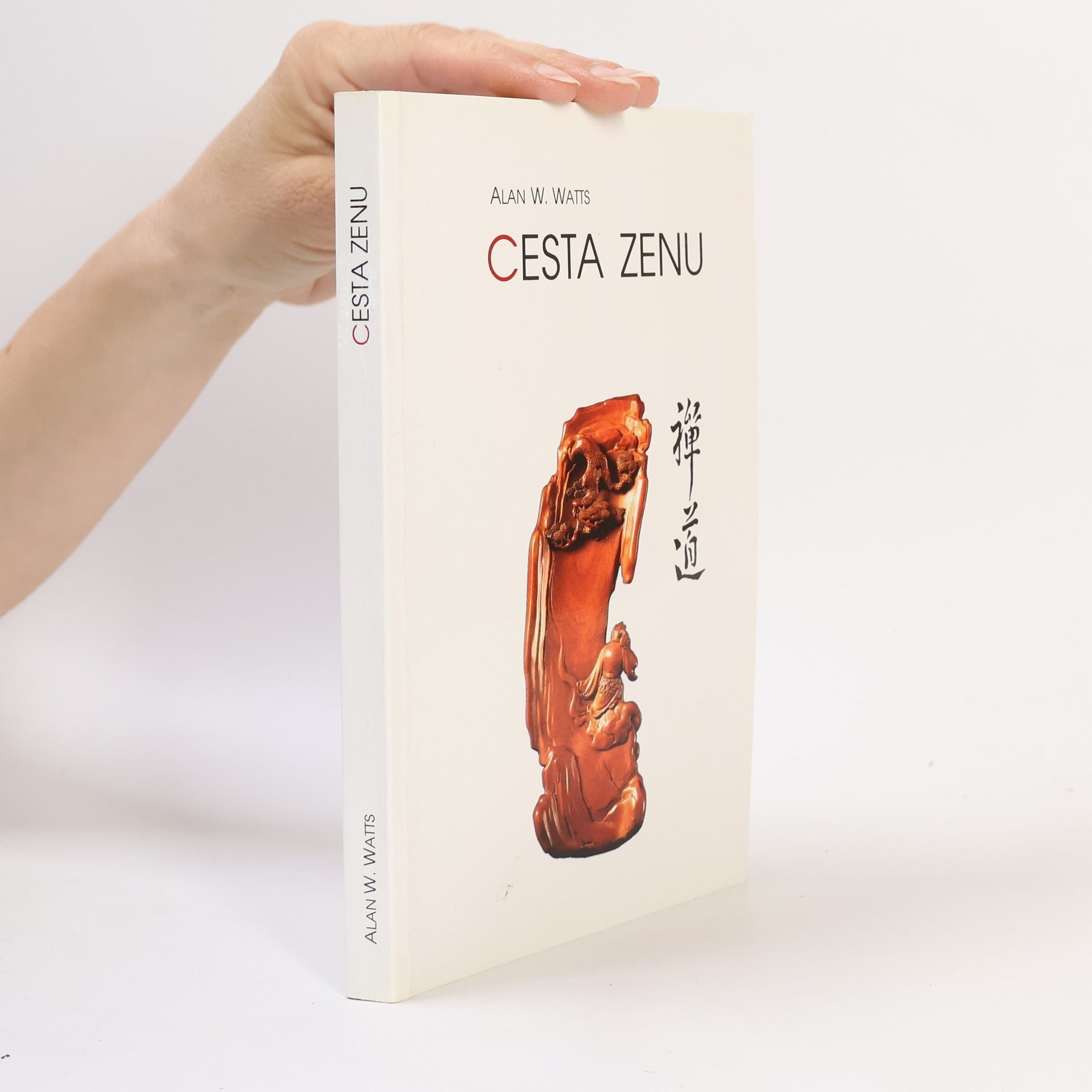 Alan Watts Cesta zenu