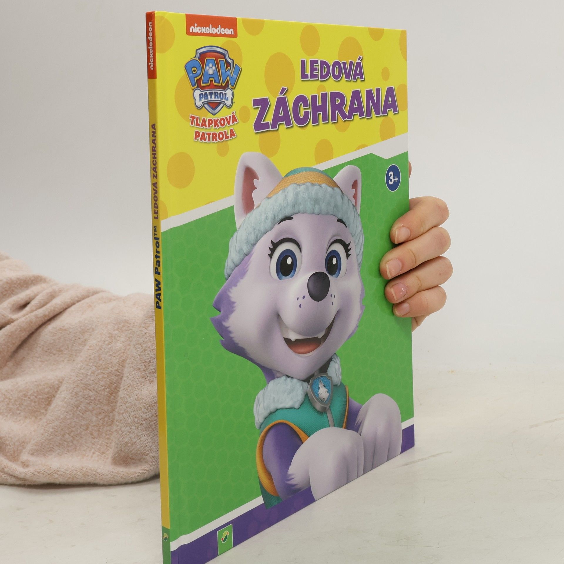 Kolektiv autorů Tlapková patrola. Ledová záchrana