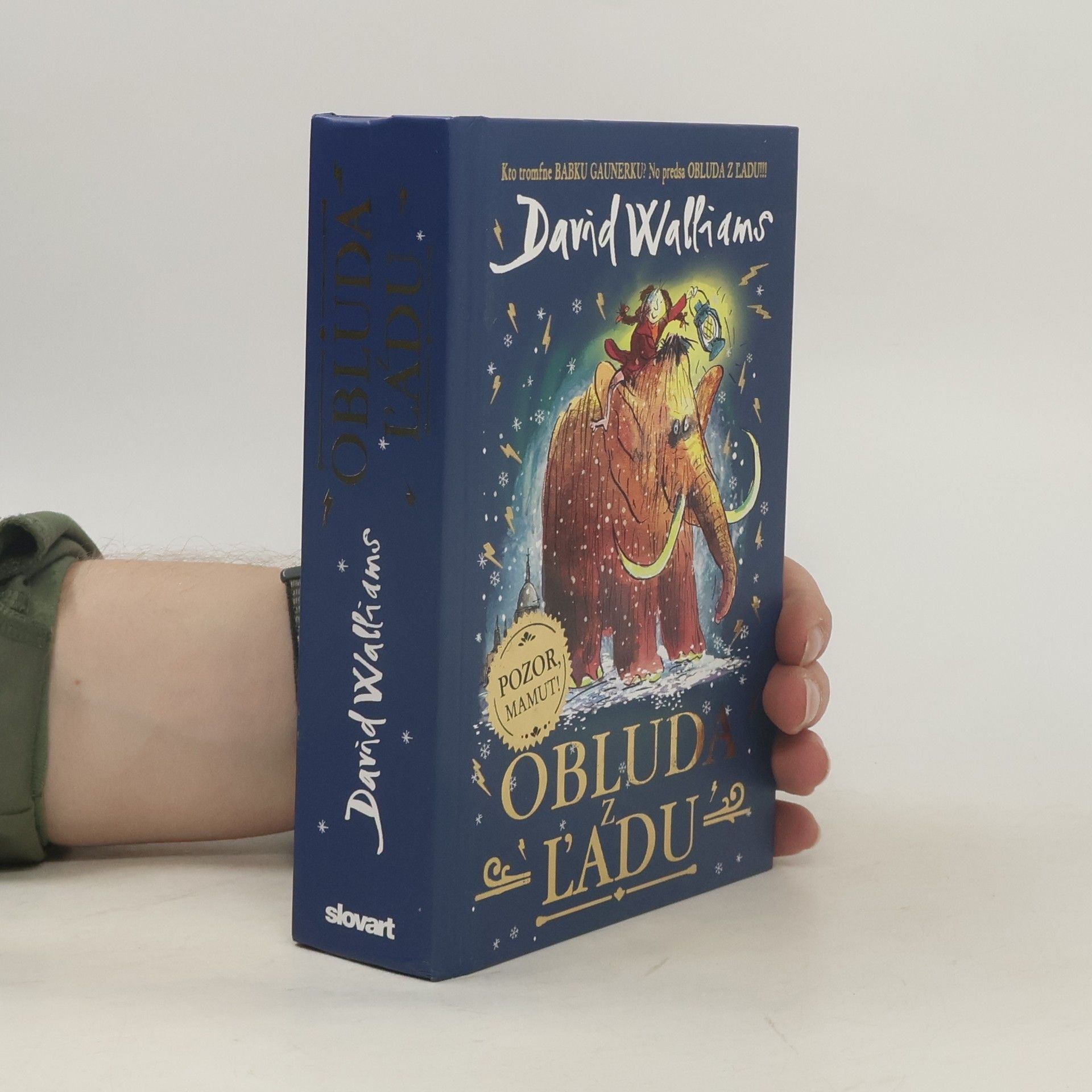 David Walliams Obluda z ľadu