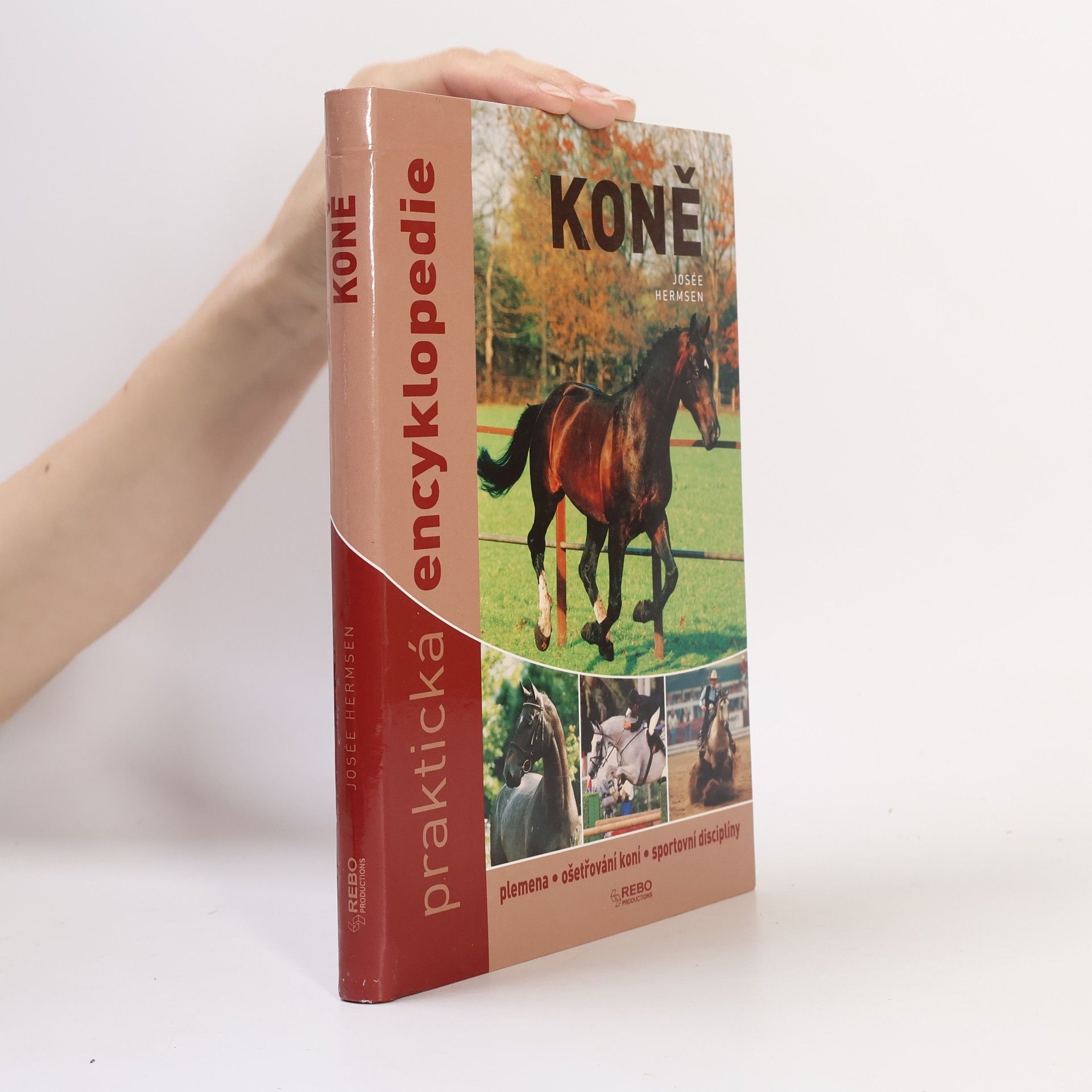 Josée Hermsen Koně - praktická encyklopedie