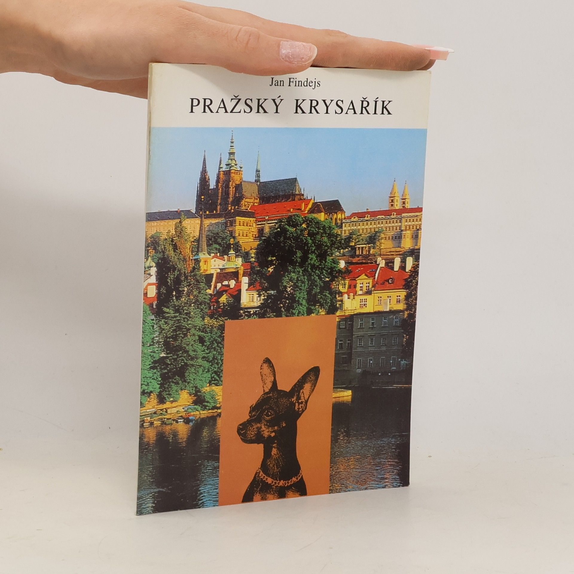 Pražský krysařík