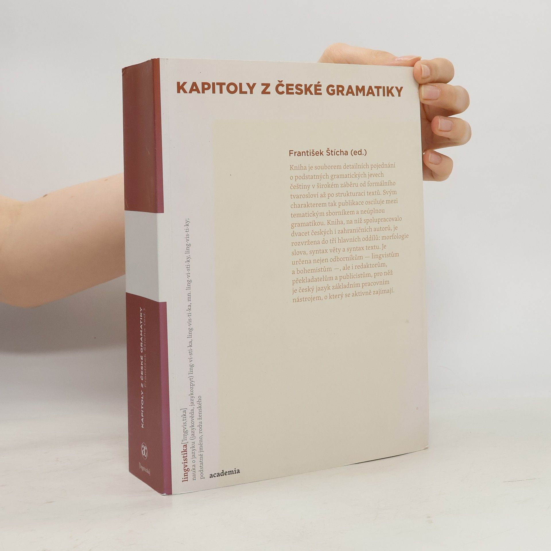 Kapitoly z české gramatiky