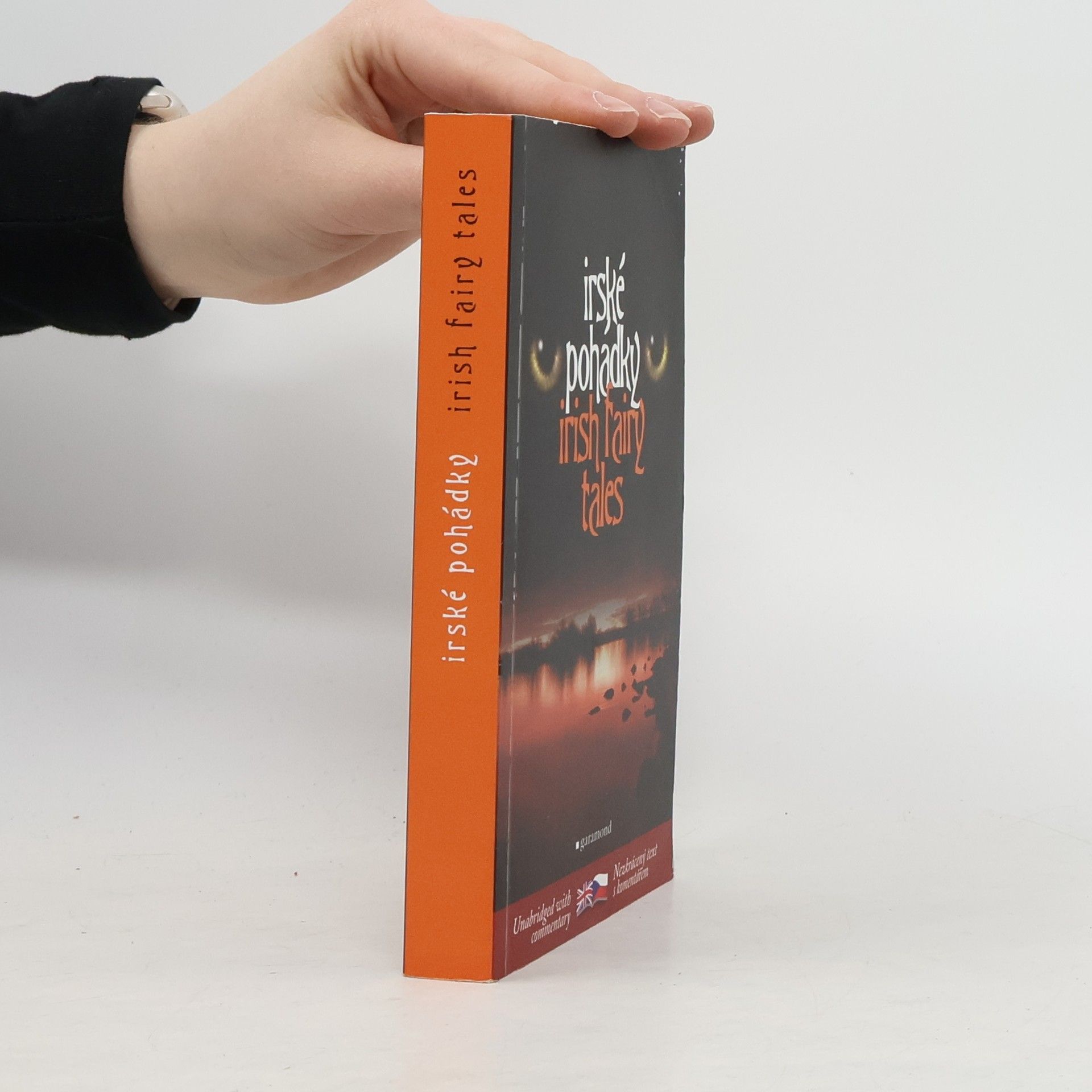 Lukáš Houdek Irish fairy tales = Irské pohádky