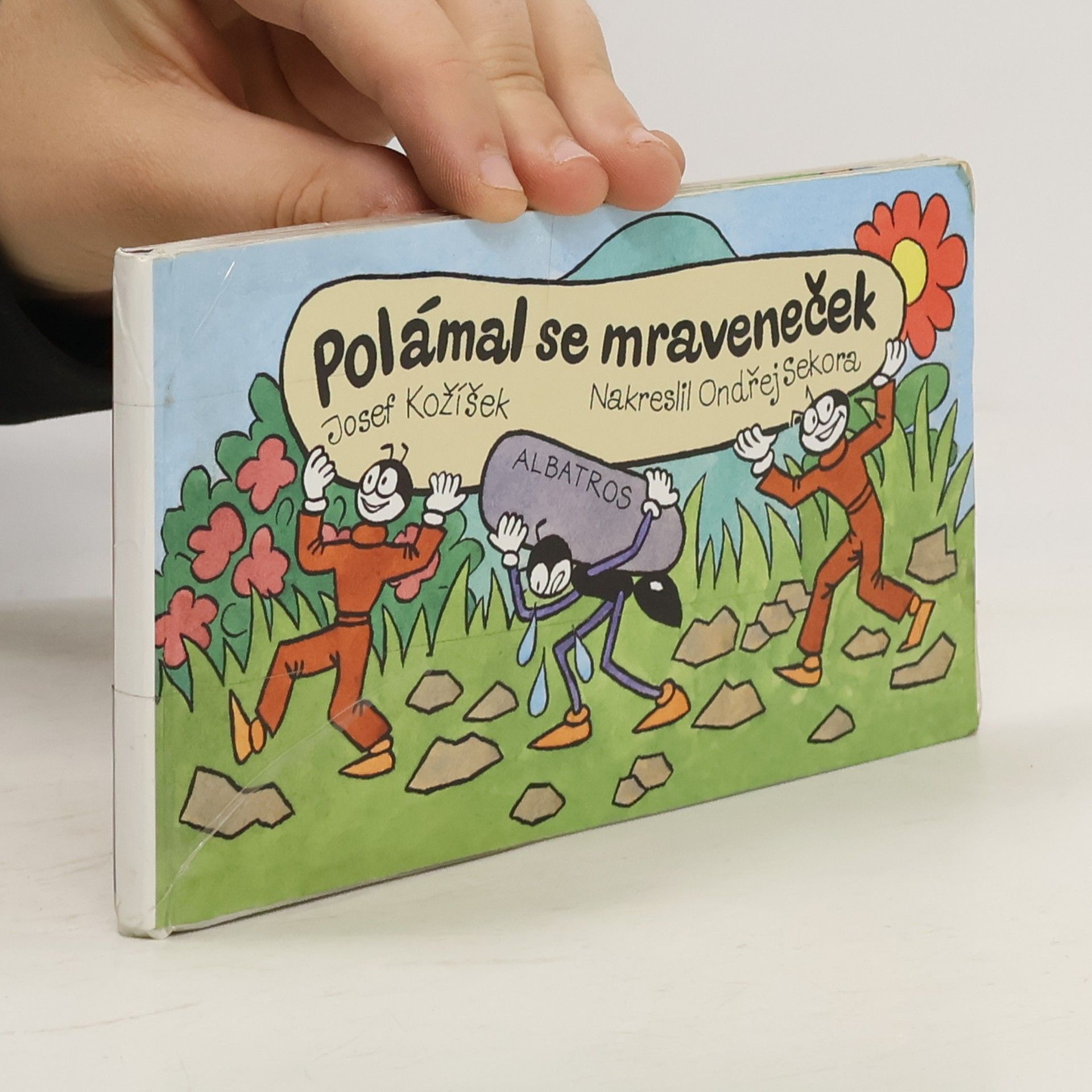 Polámal se mraveneček