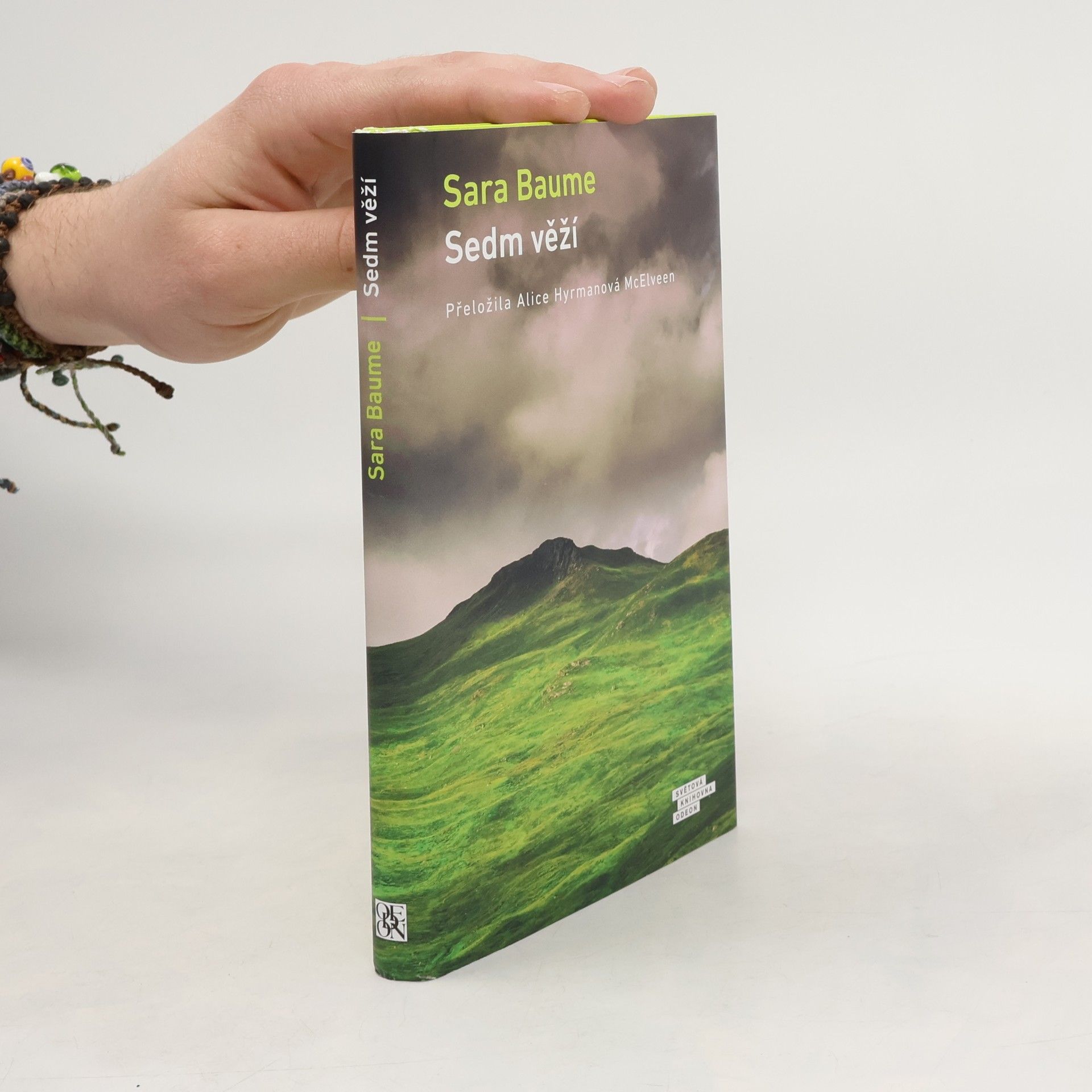 Sara Baume Sedm věží