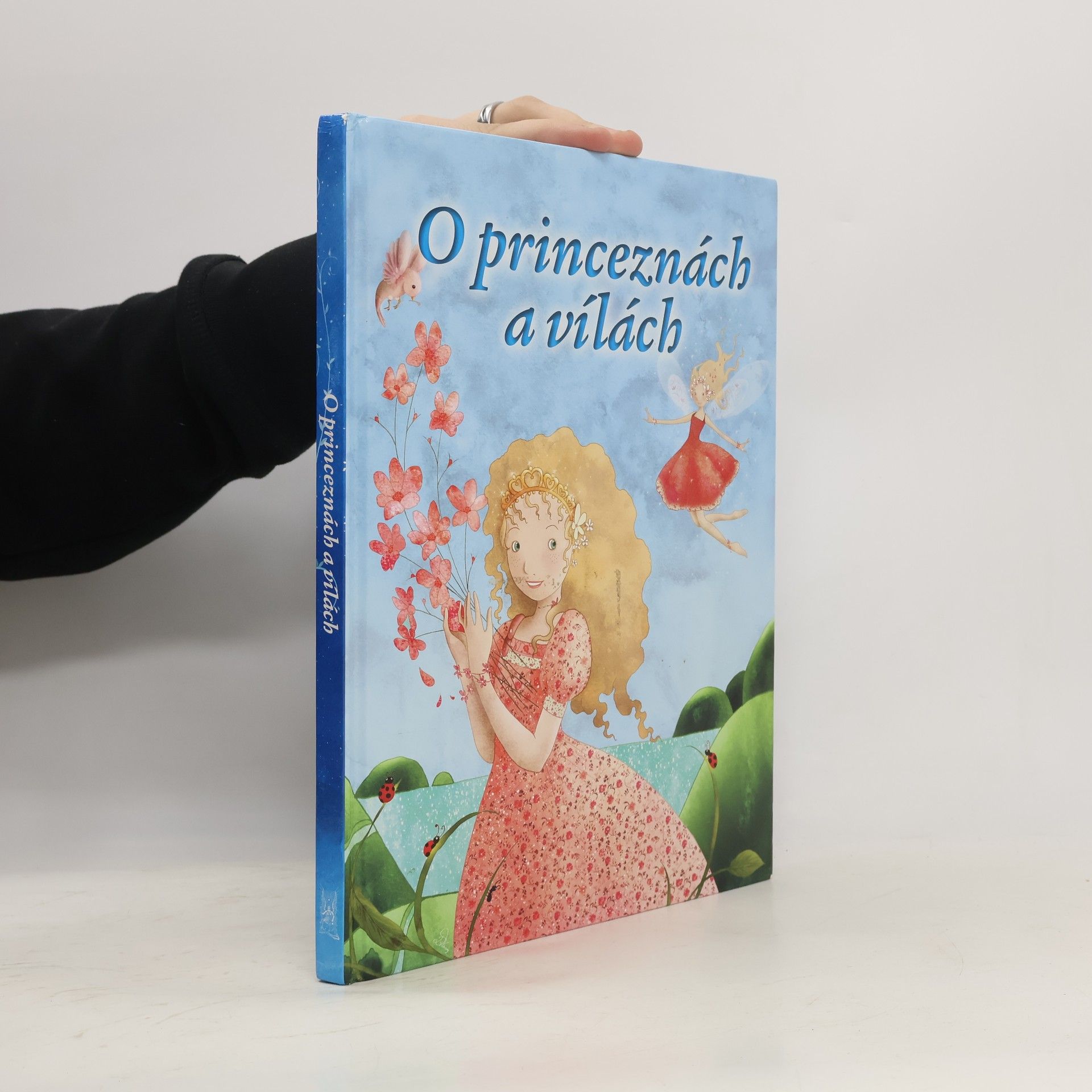 Kolektiv autorů O princeznách a vílách