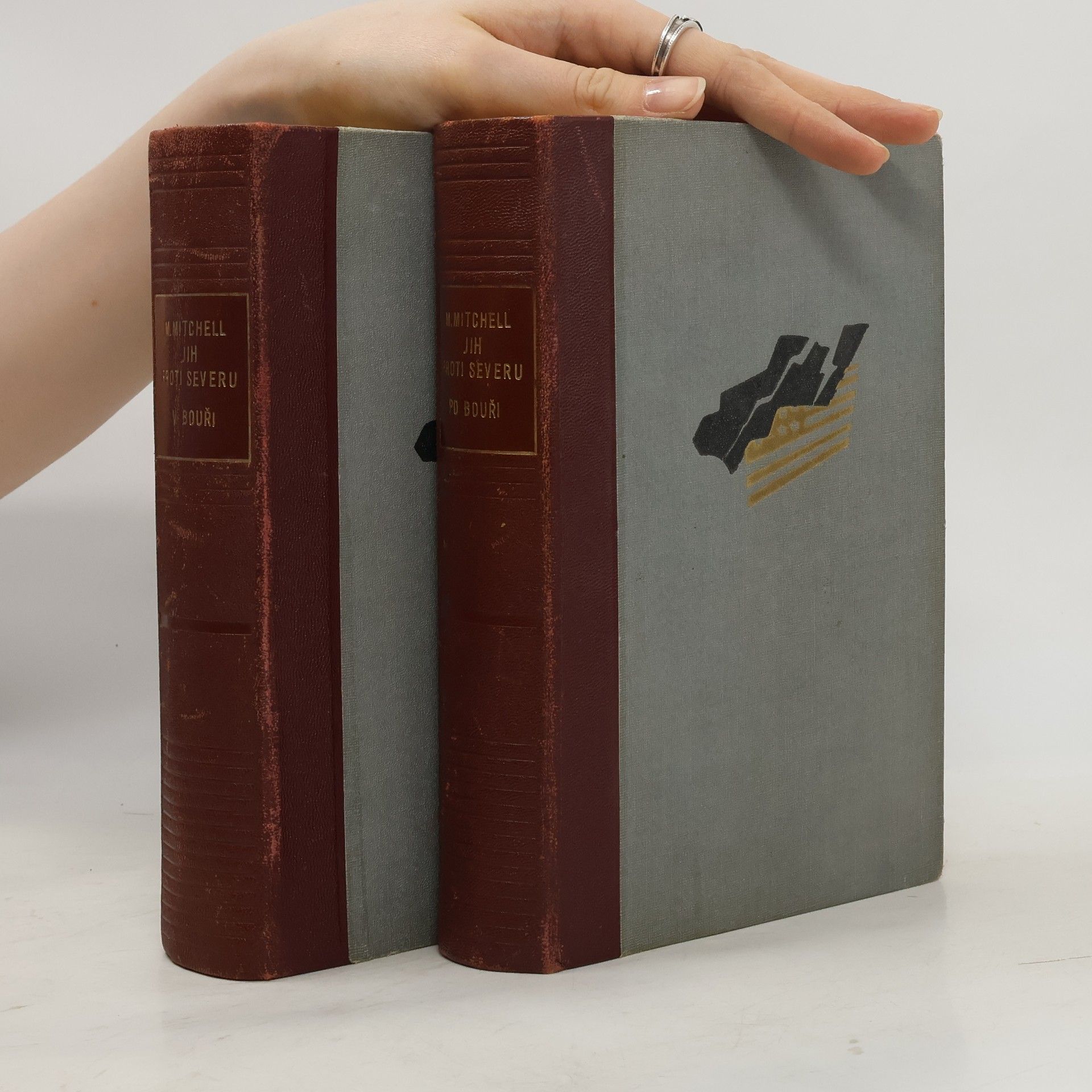 Margaret Mitchell Jih proti severu 1-2