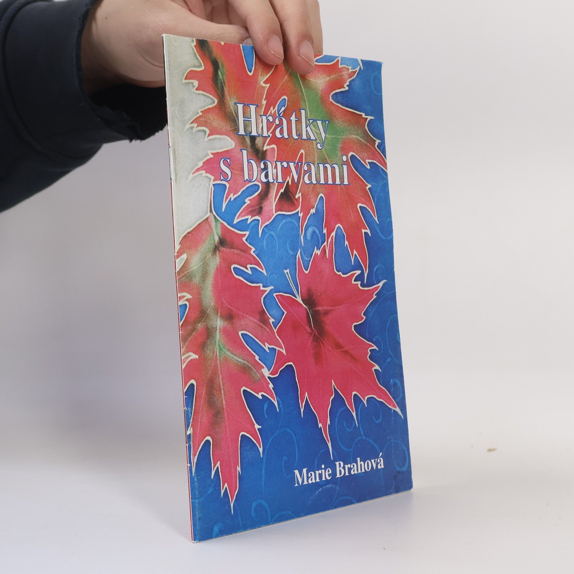Marie Brahová Hrátky s barvami