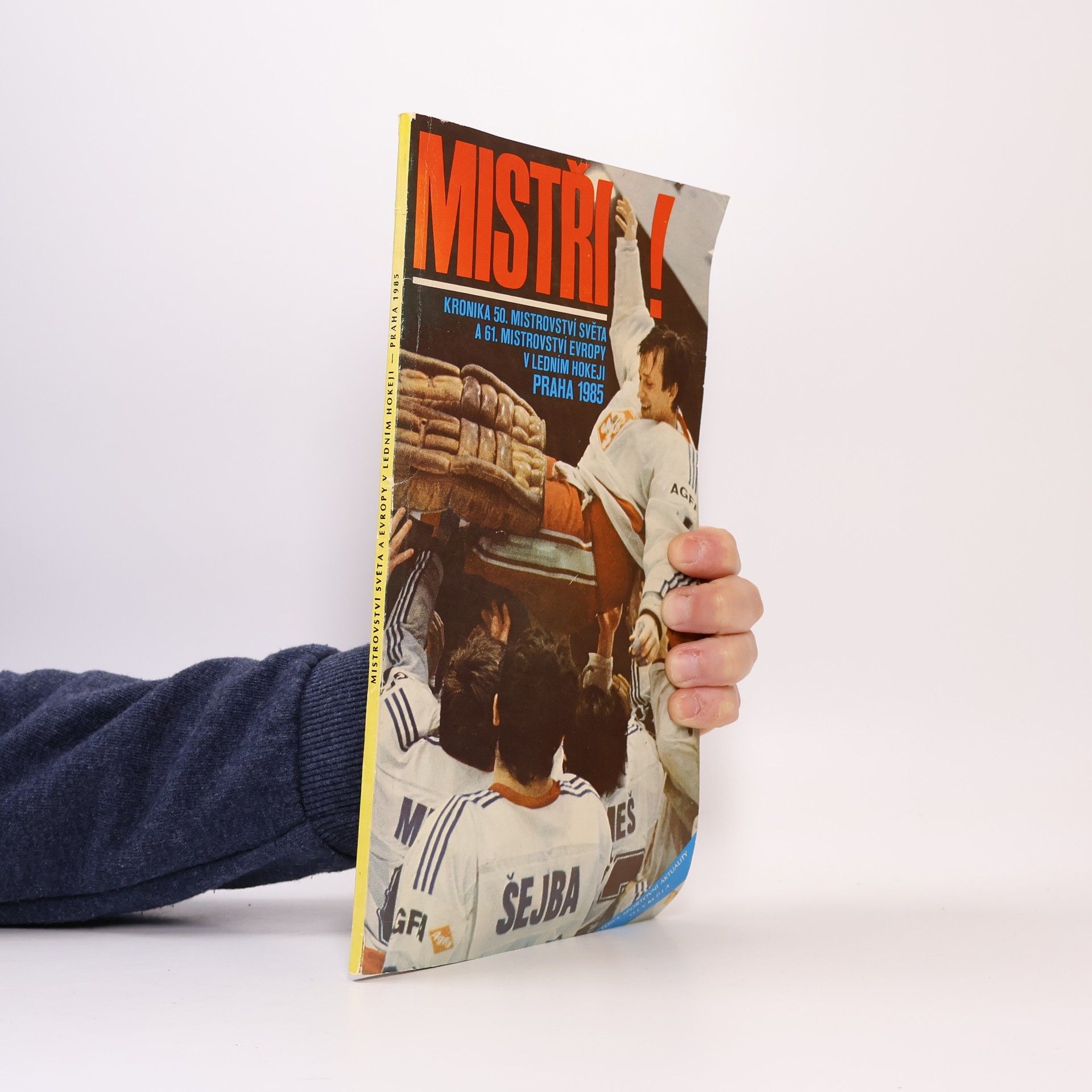 Mistři! Kronika 50. mistroství a 61. mistroství Evropy v ledním hokeji