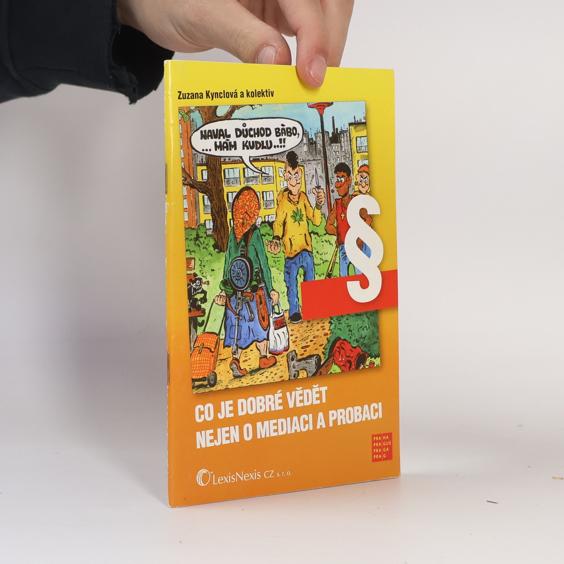 Co je dobré vědět nejen o mediaci a probaci