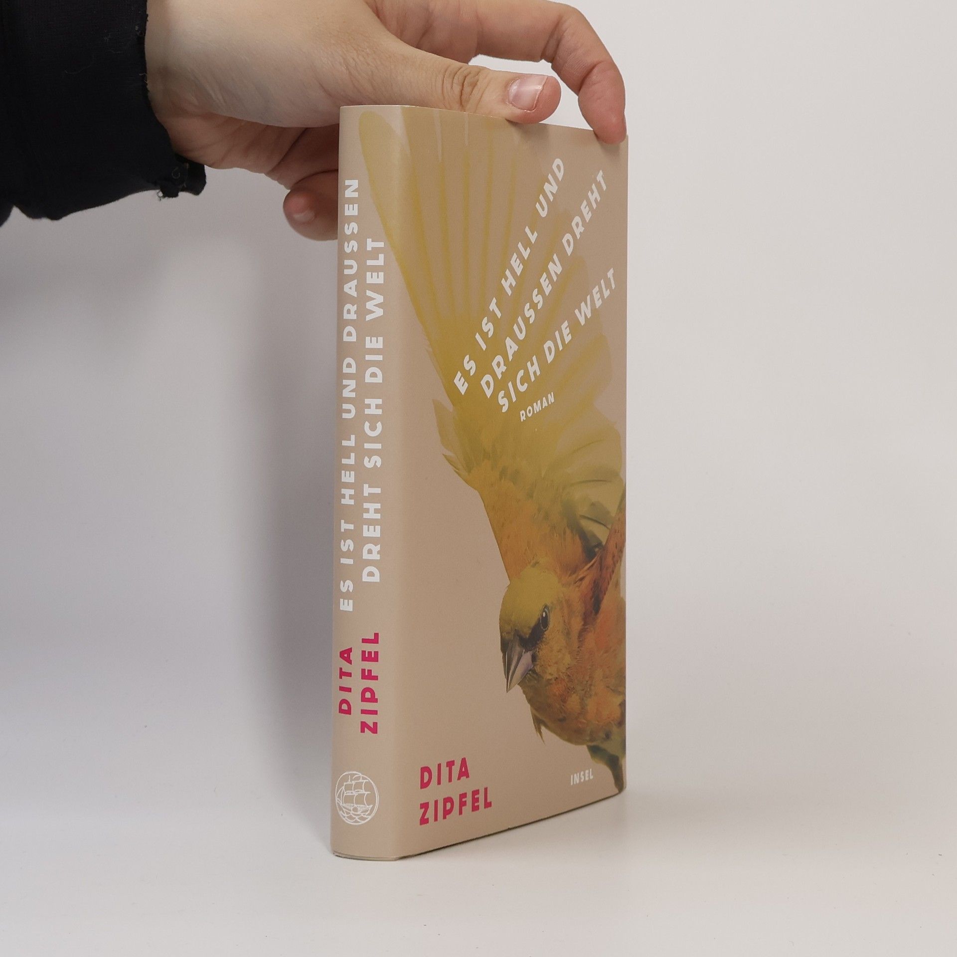 Dita Zipfel Es ist hell und draußen dreht sich die Welt