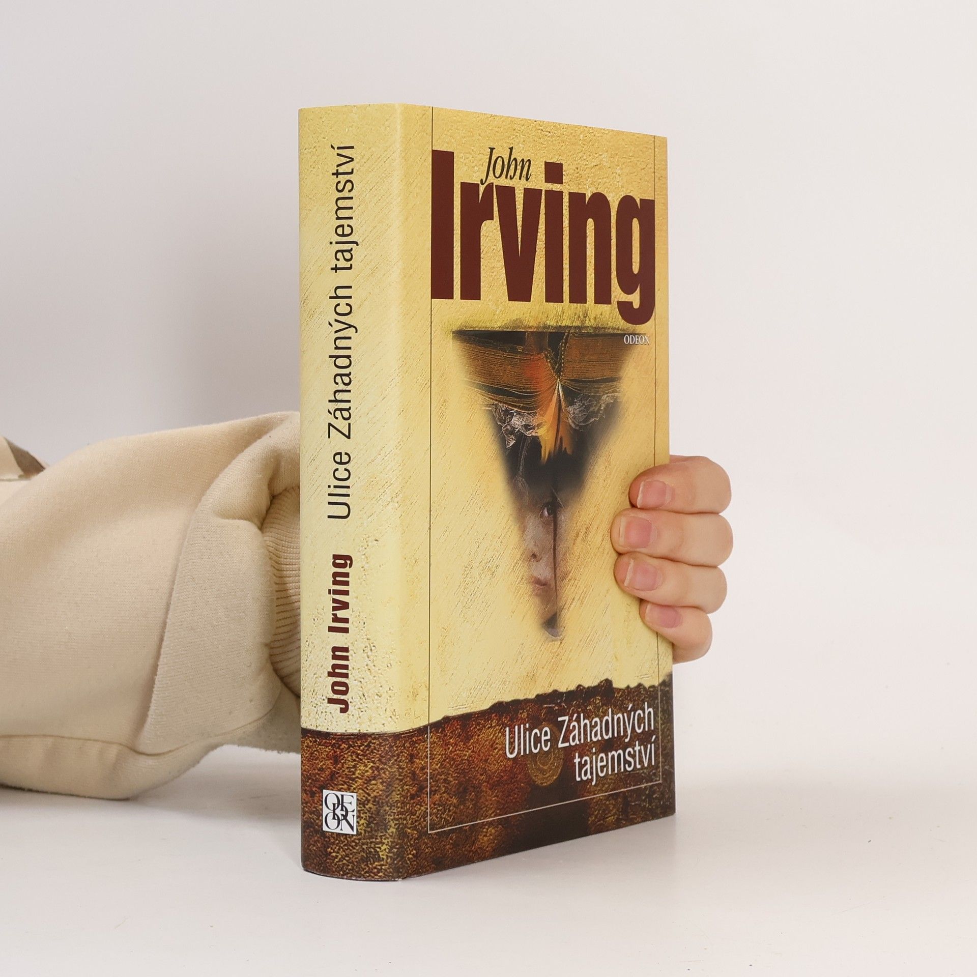 John Irving Ulice Záhadných tajemství