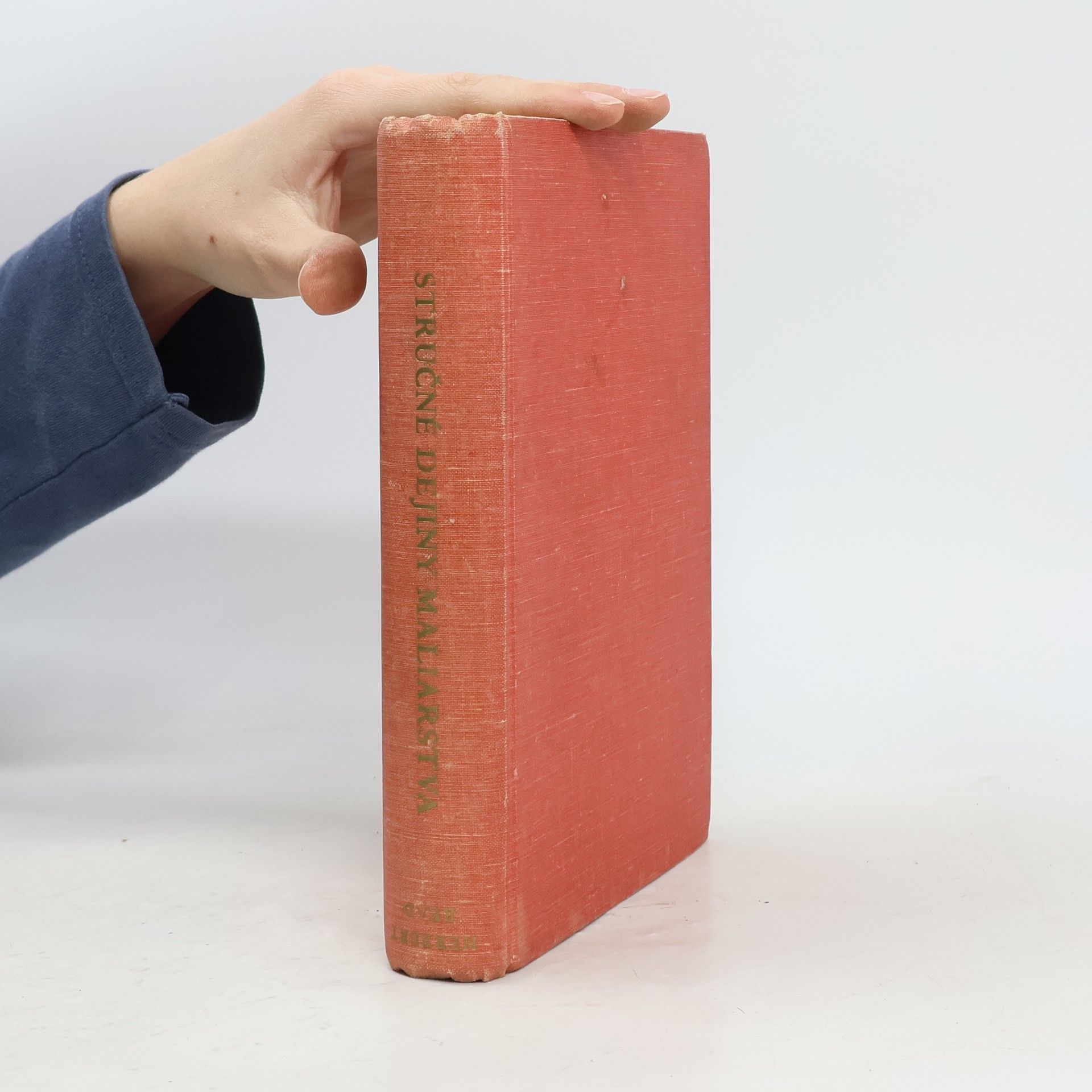 Michael Levey Stručné dejiny maliarstva od Giotta po Cézanna