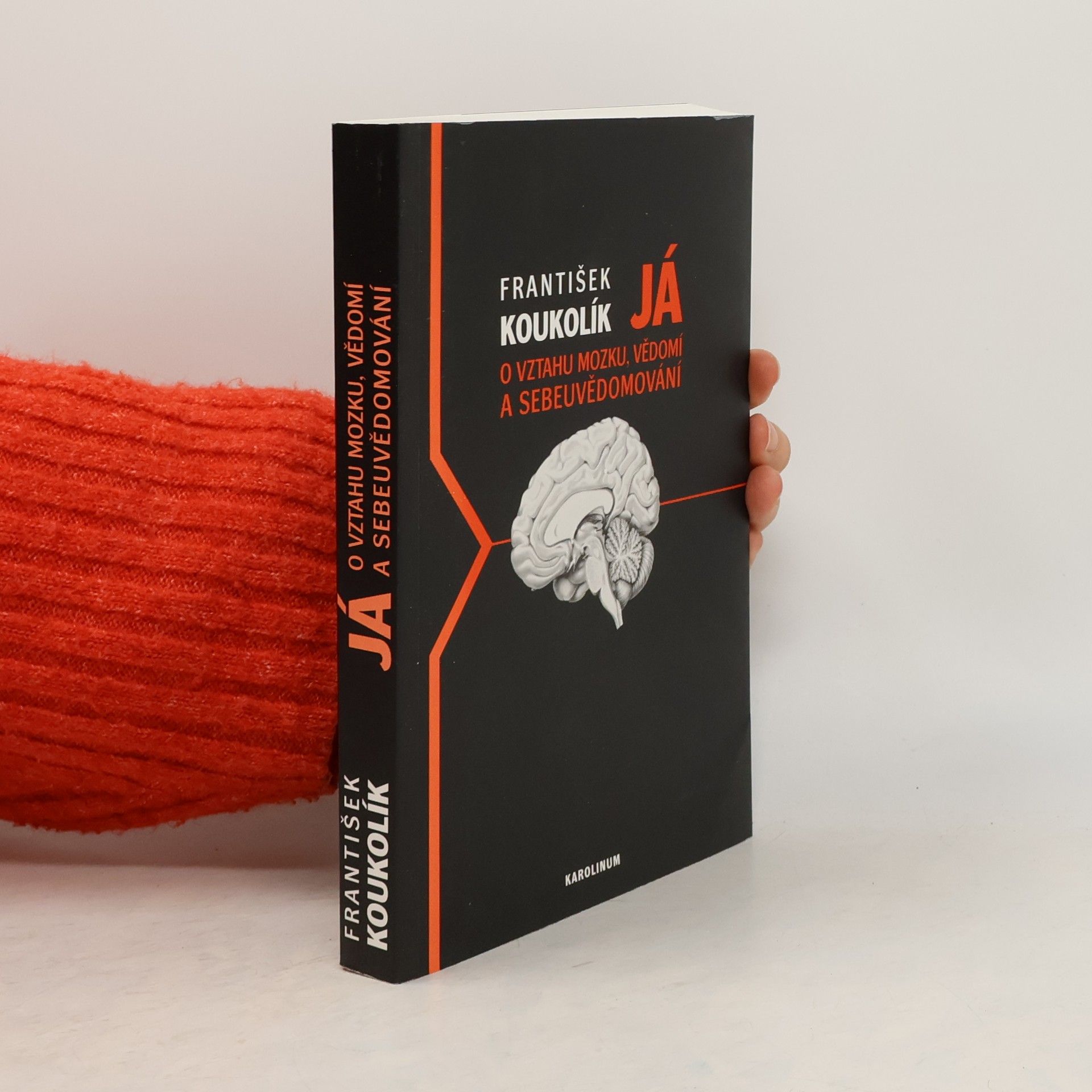 František Koukolík Já. O vztahu mozku, vědomí a sebeuvědomování