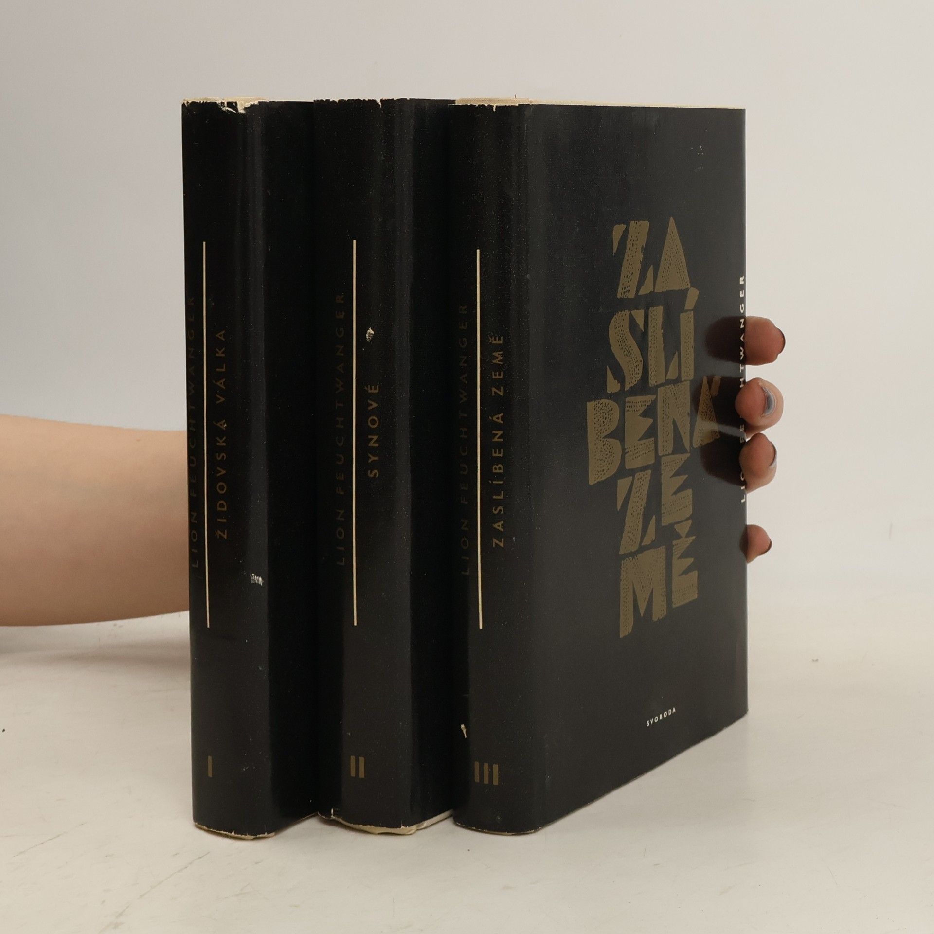 Lion Feuchtwanger Židovská válka. Synové. Zaslíbená země