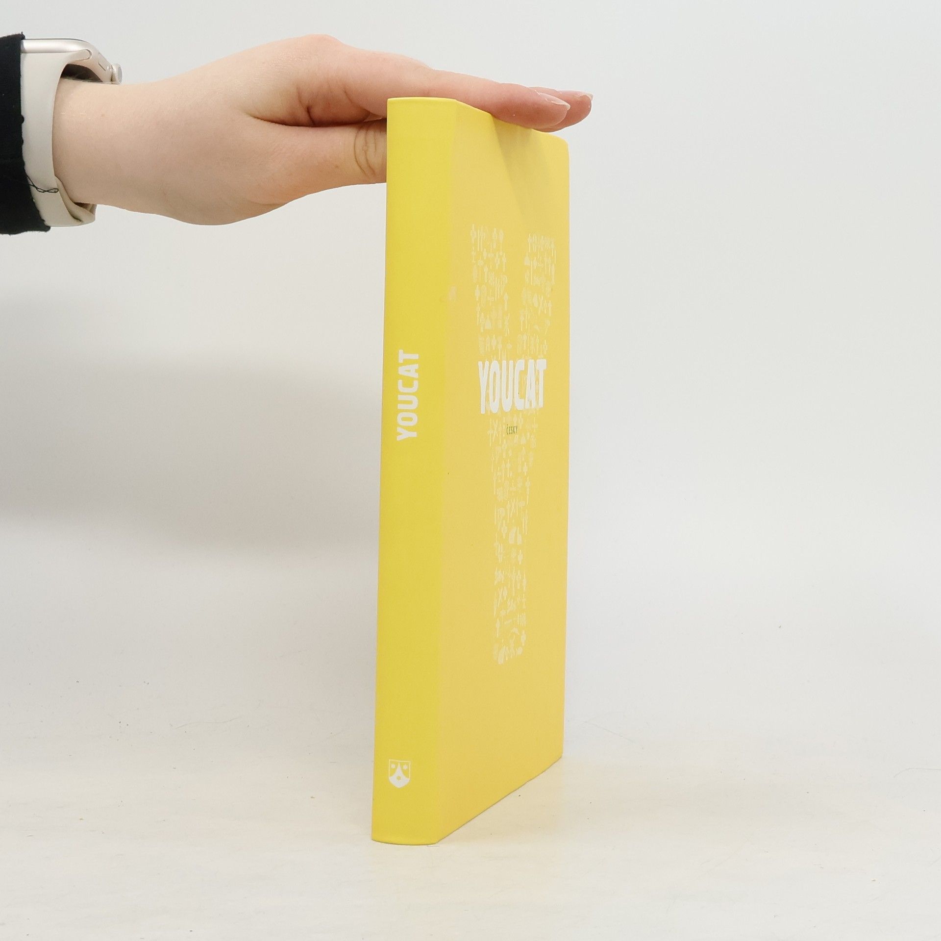 Kolektiv autorů Youcat: Katechismus katolické církve pro mladé