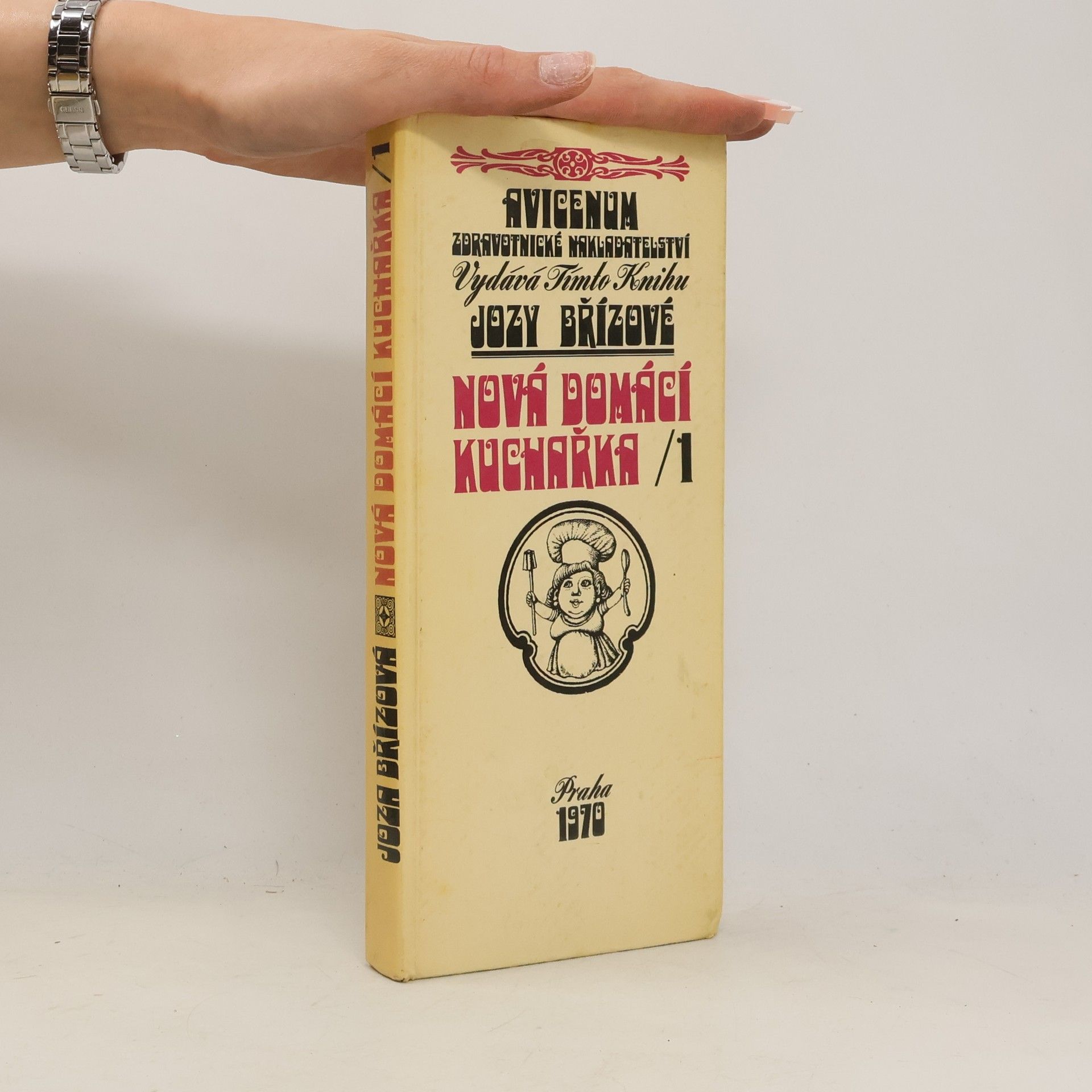 Joza Břízová Nová domácí kuchařka 1
